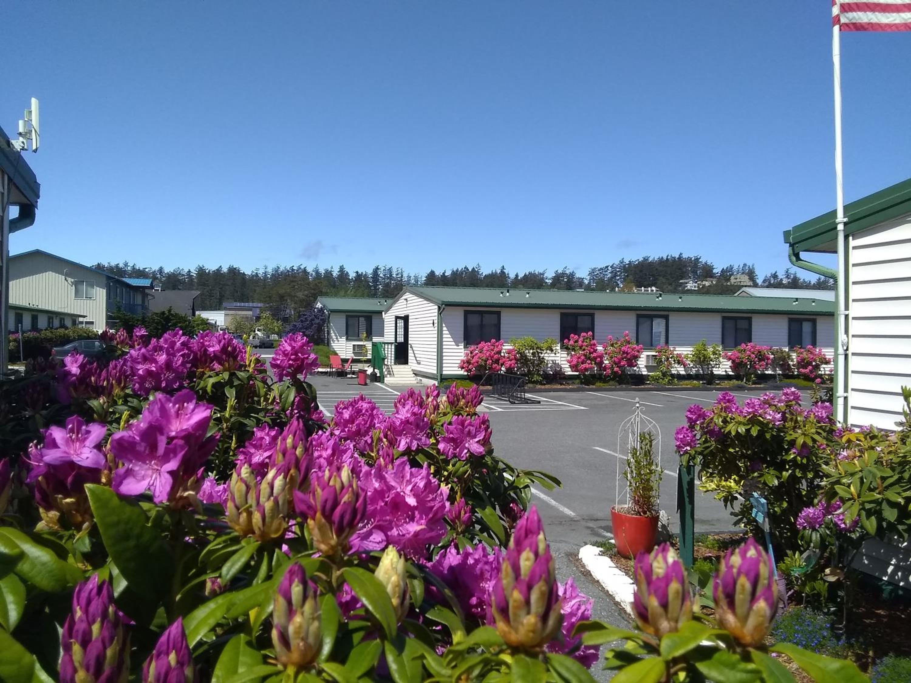 The Orca Inn