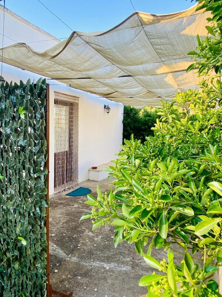 Casa vacanza nel cuore del Salento photo 5