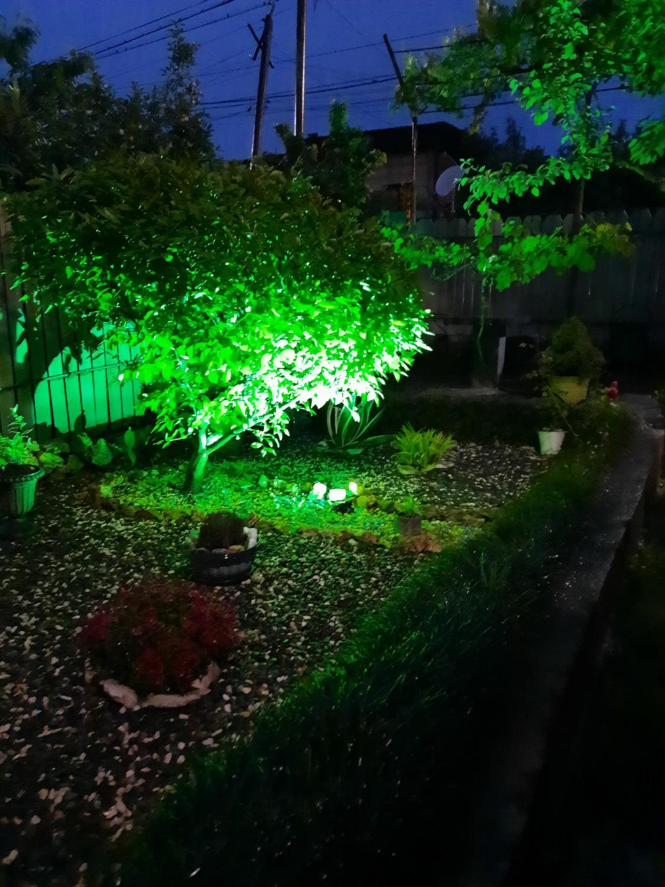 Photo 20