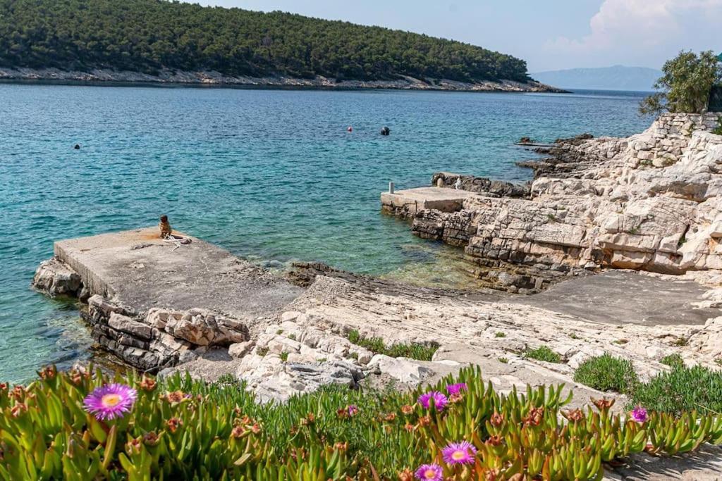 Seaside Holiday Home Vinka