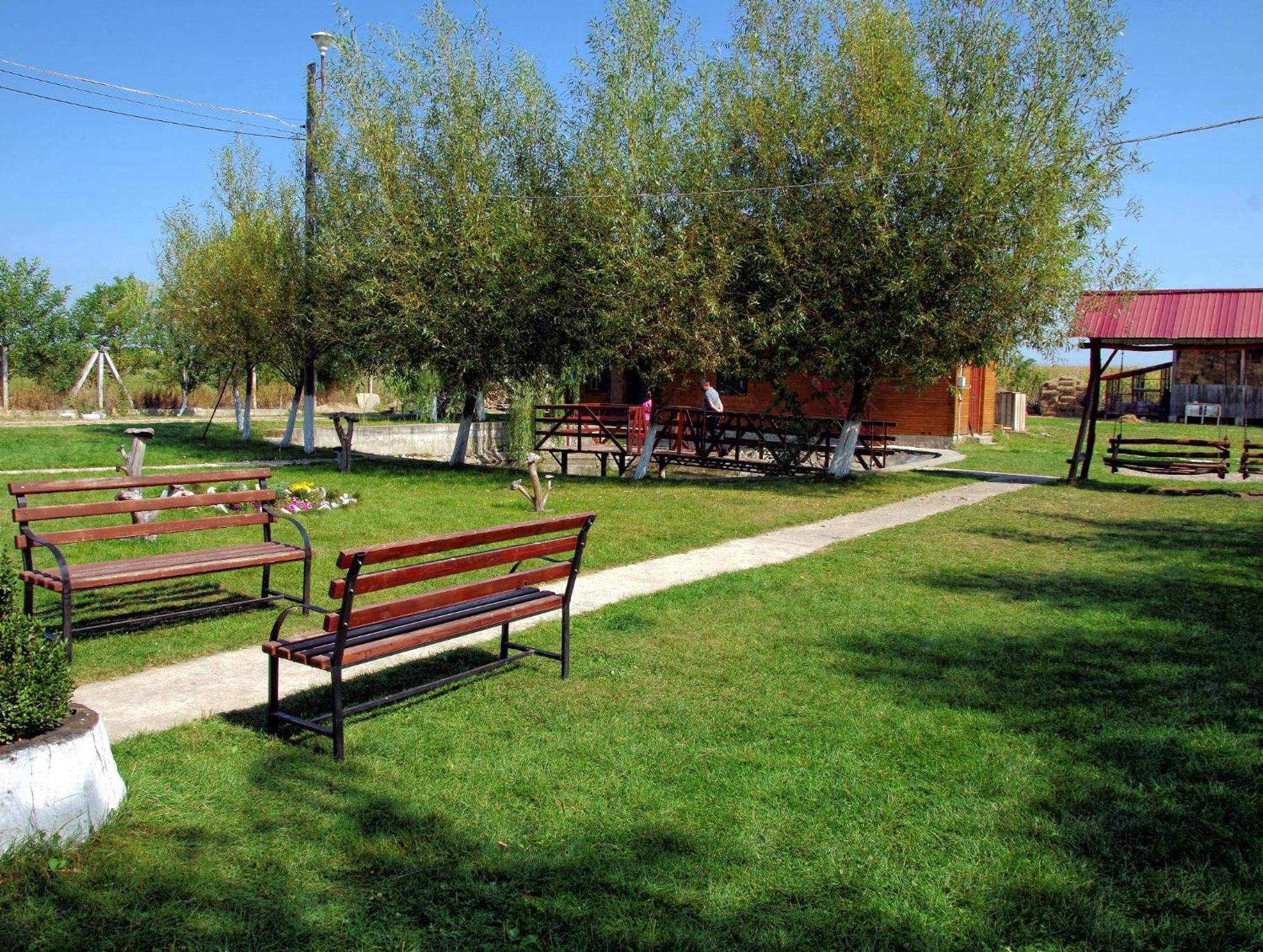 Photo 41