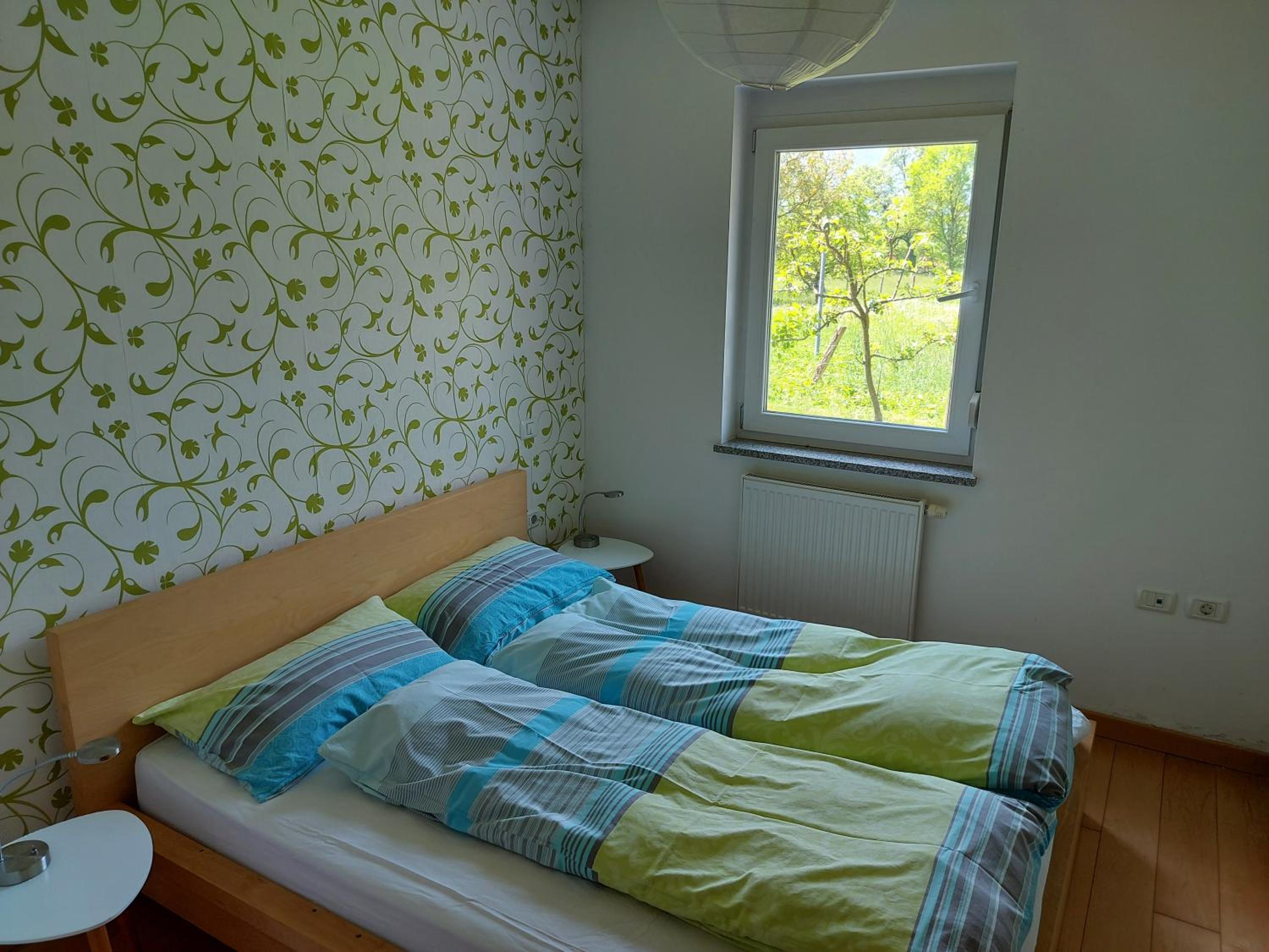 APARTMA GONZO view 2