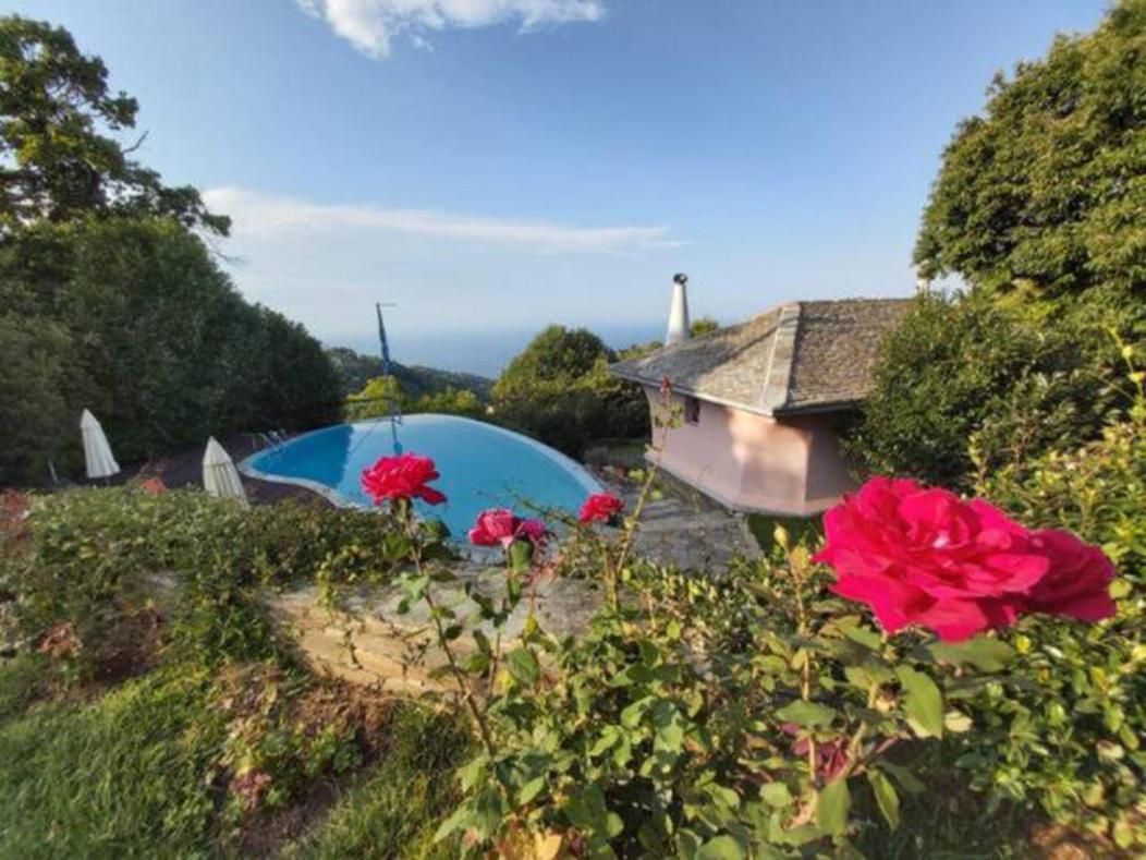 Tsagkarada Country Estate with Pool view 2