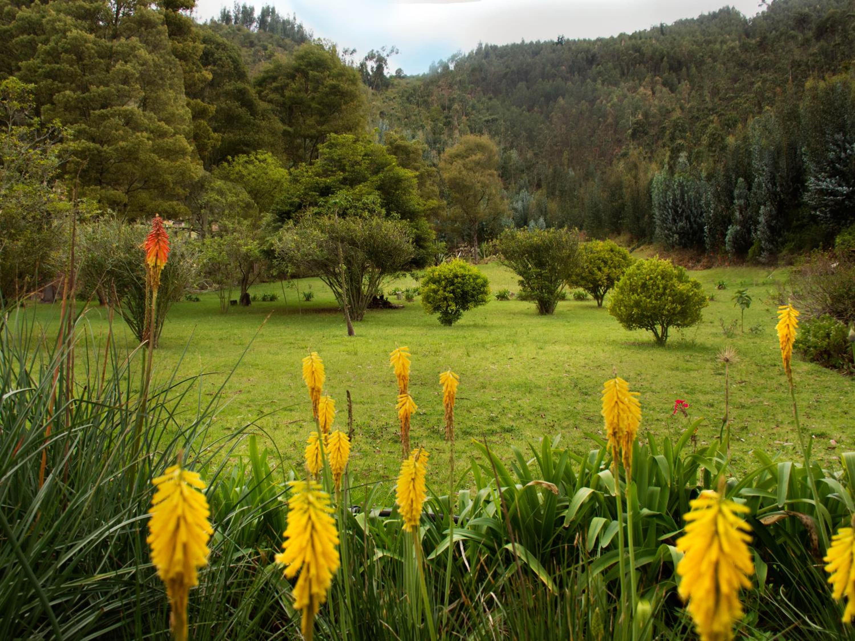 Finca La Mara
