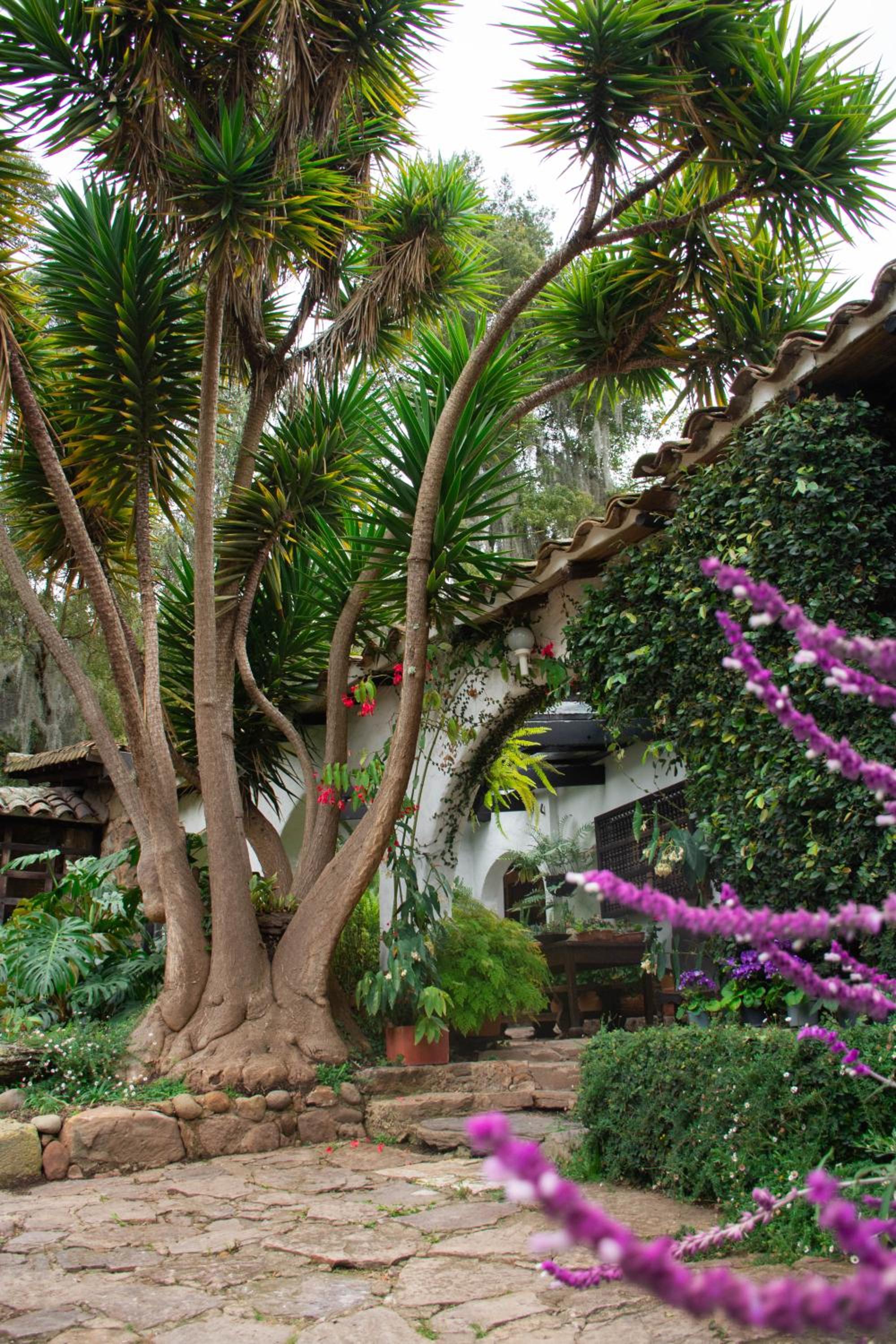 Finca La Mara