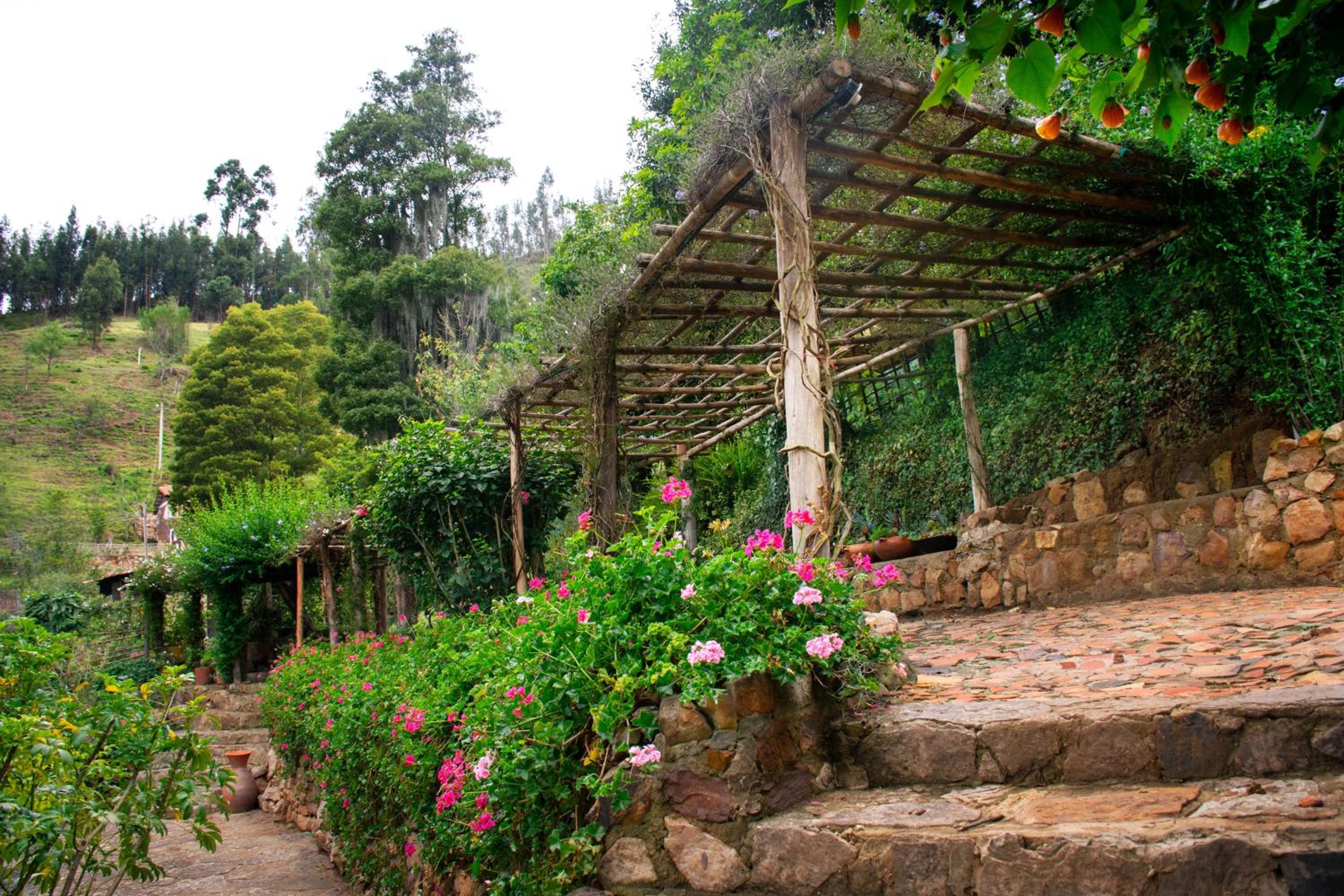 Finca La Mara