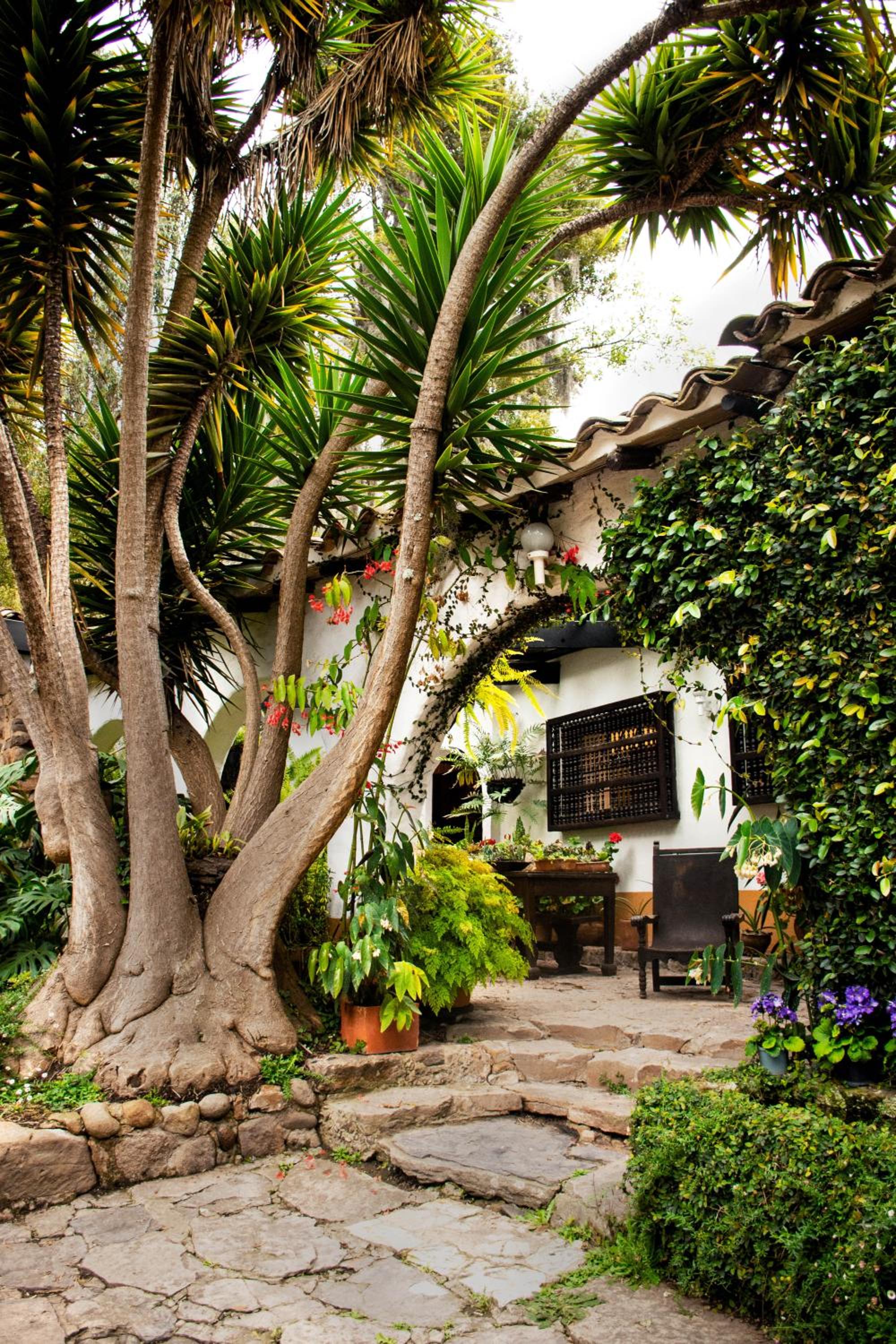 Finca La Mara
