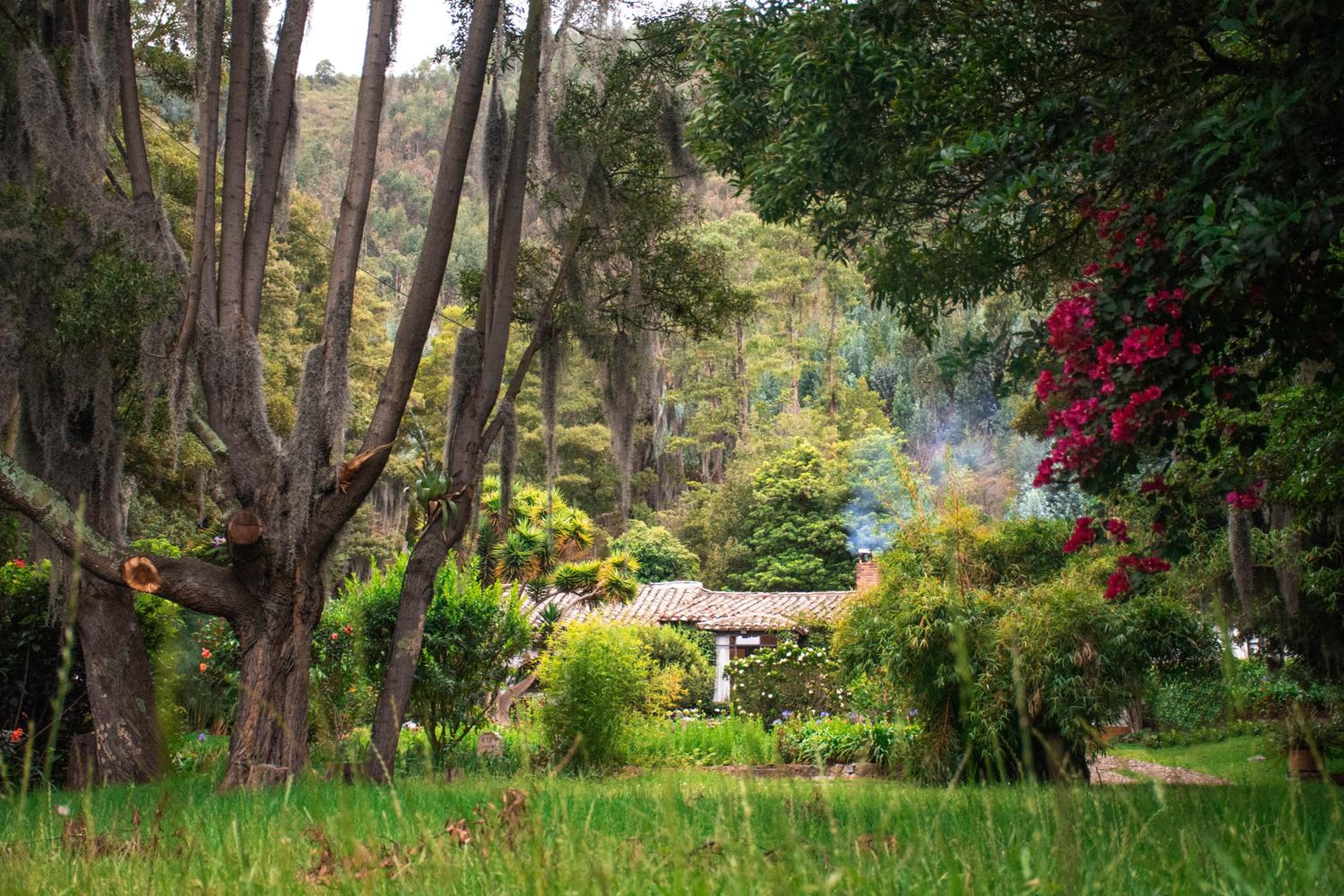 Finca La Mara