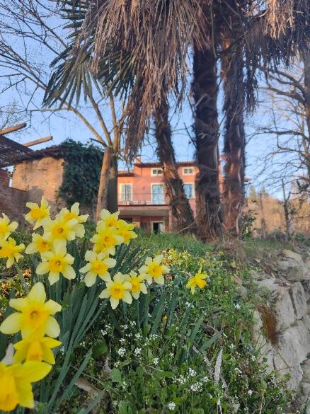 Monfrà - Ospitalità Rurale, Vigneti e Cantina