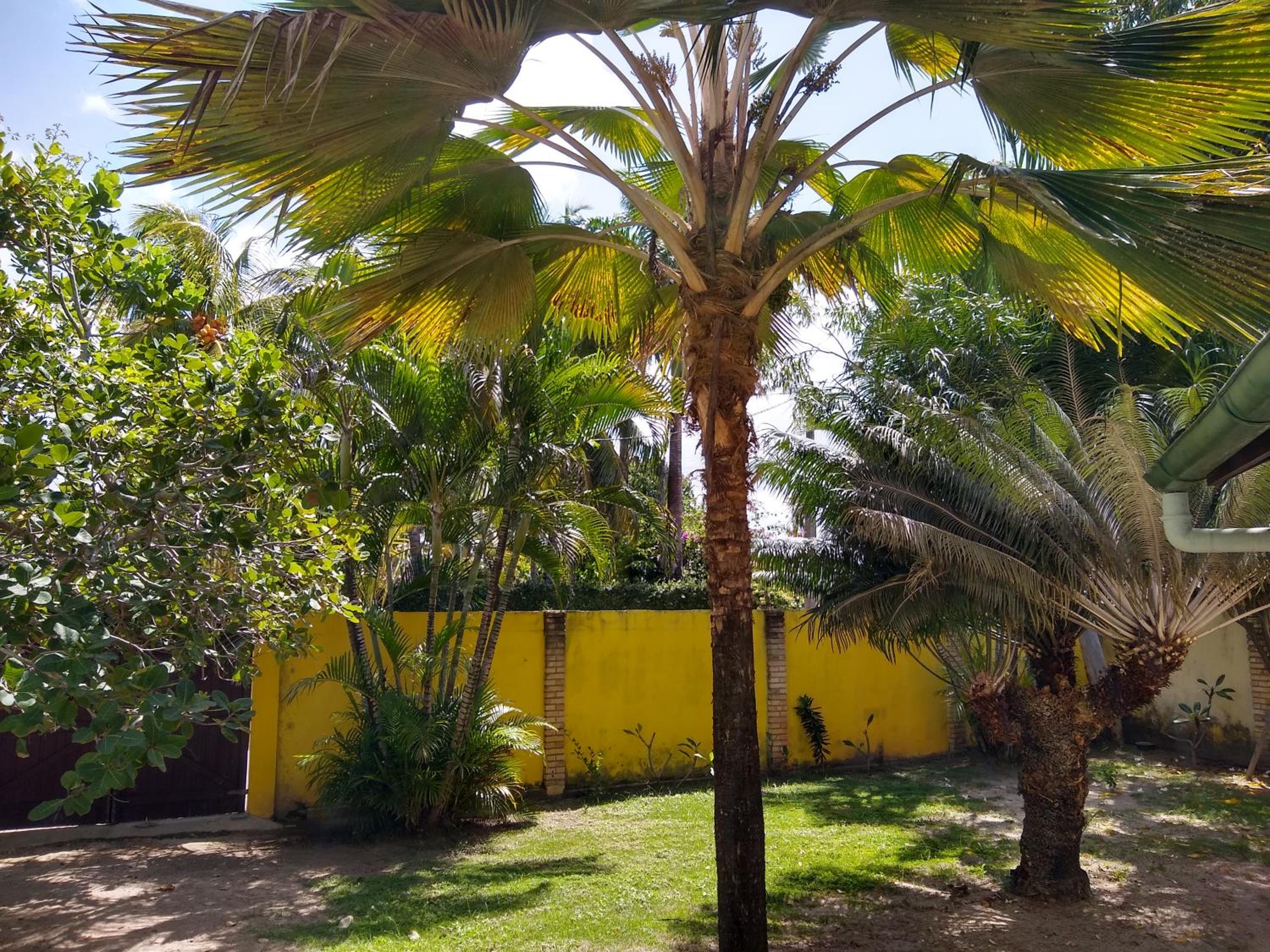 Hotel Pousada Porto do Colibri