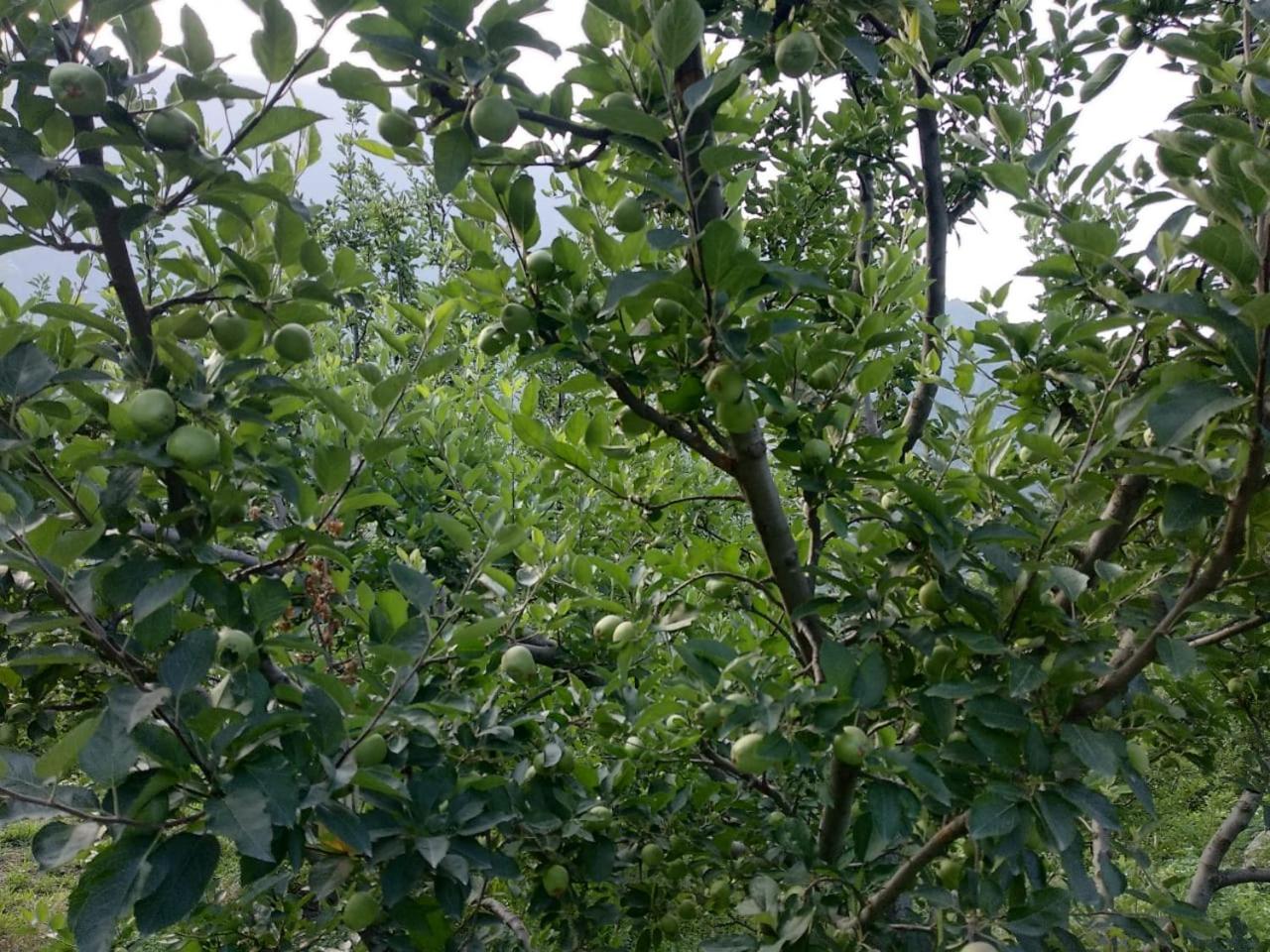 Photo 17
