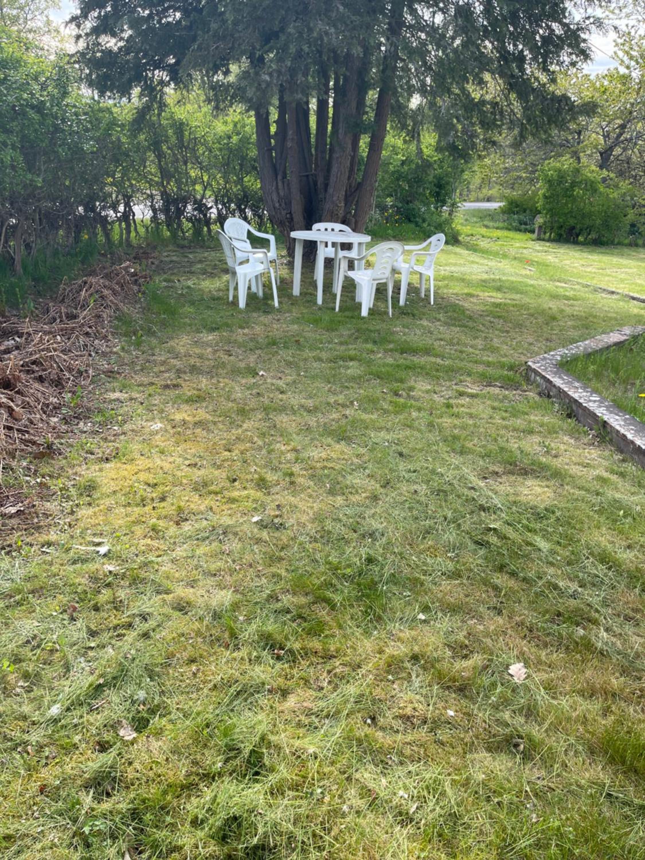 Photo 26