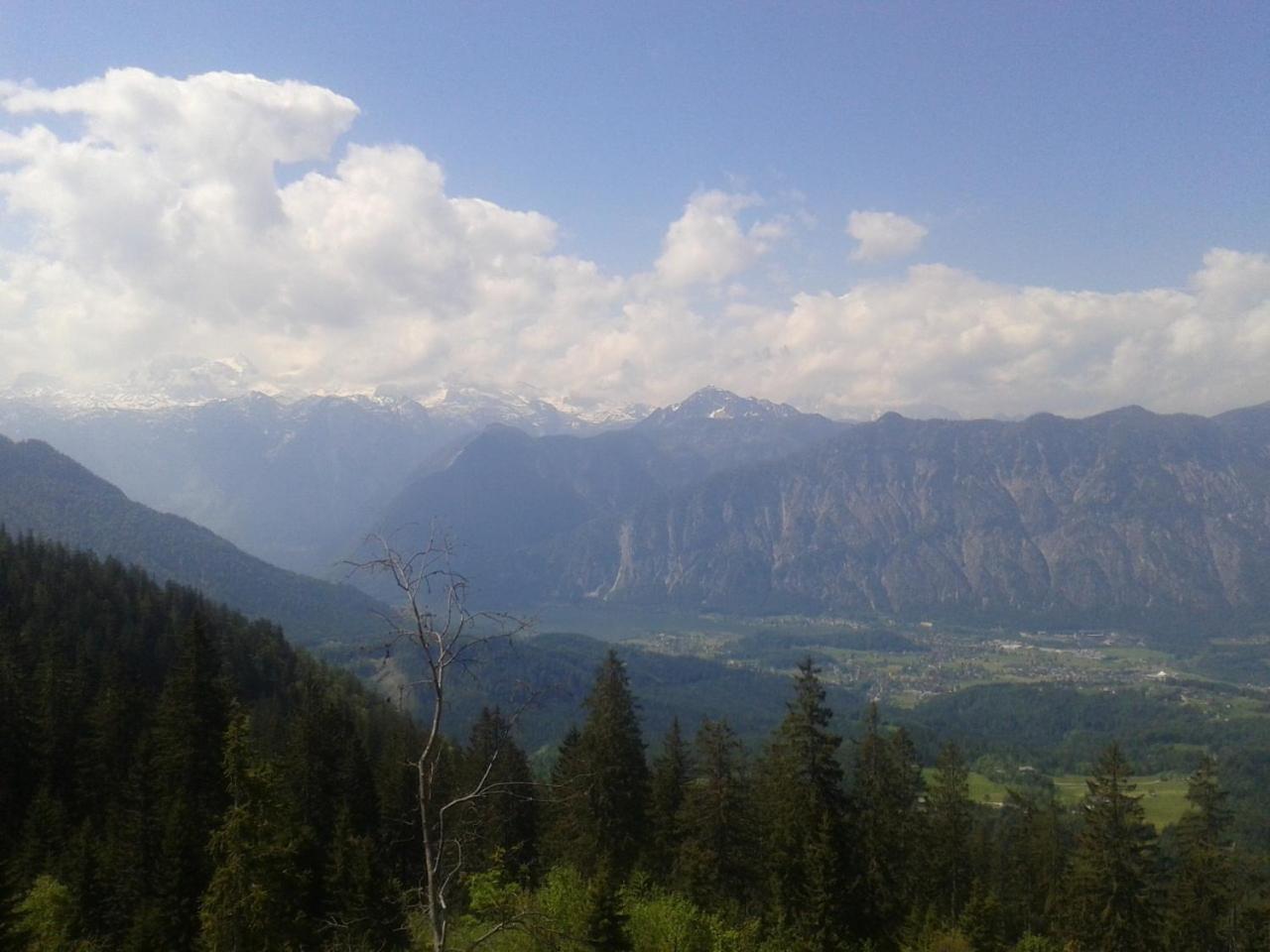 Pension Leprich