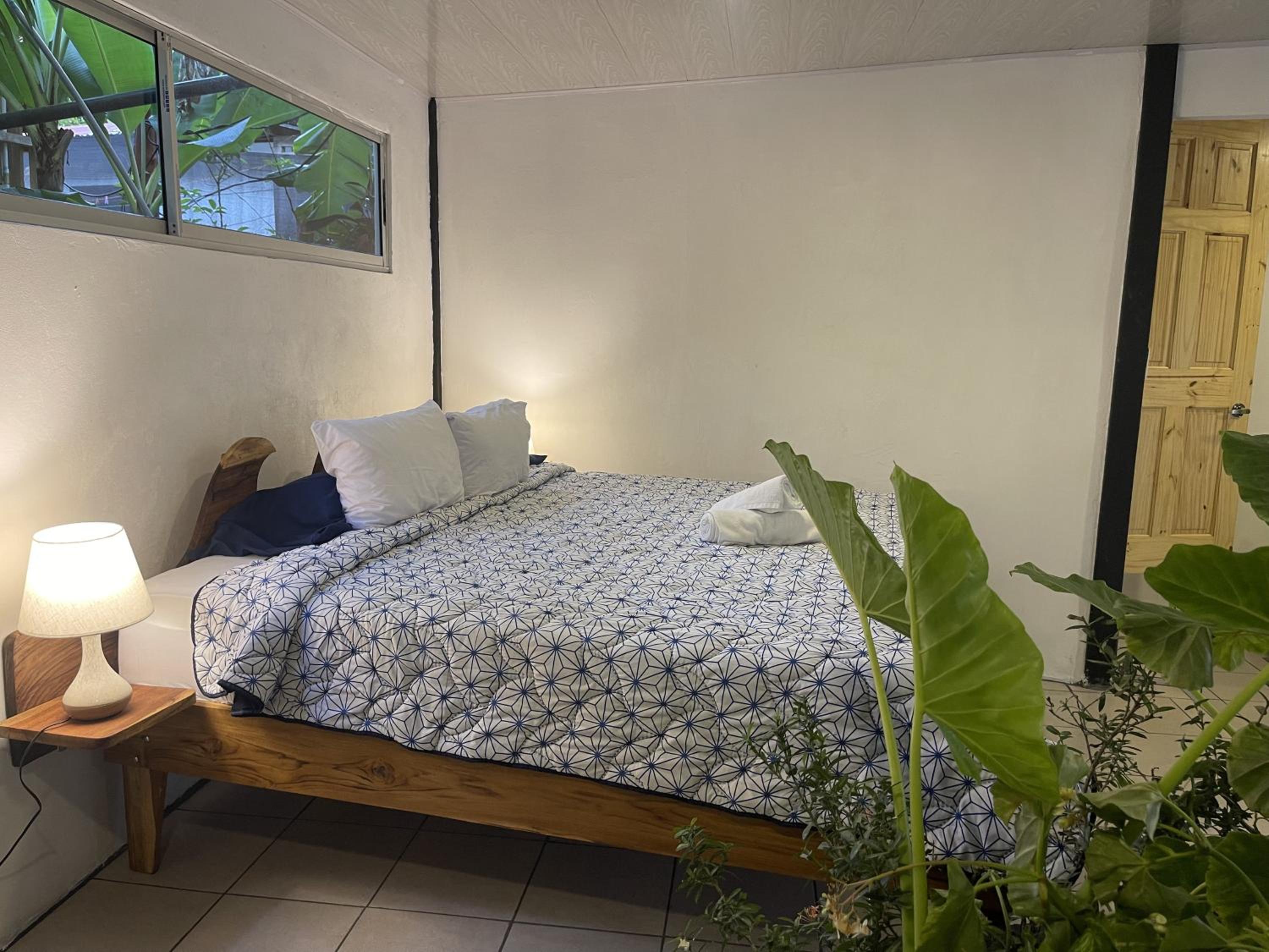 El Gato Rojas Surf Hostel