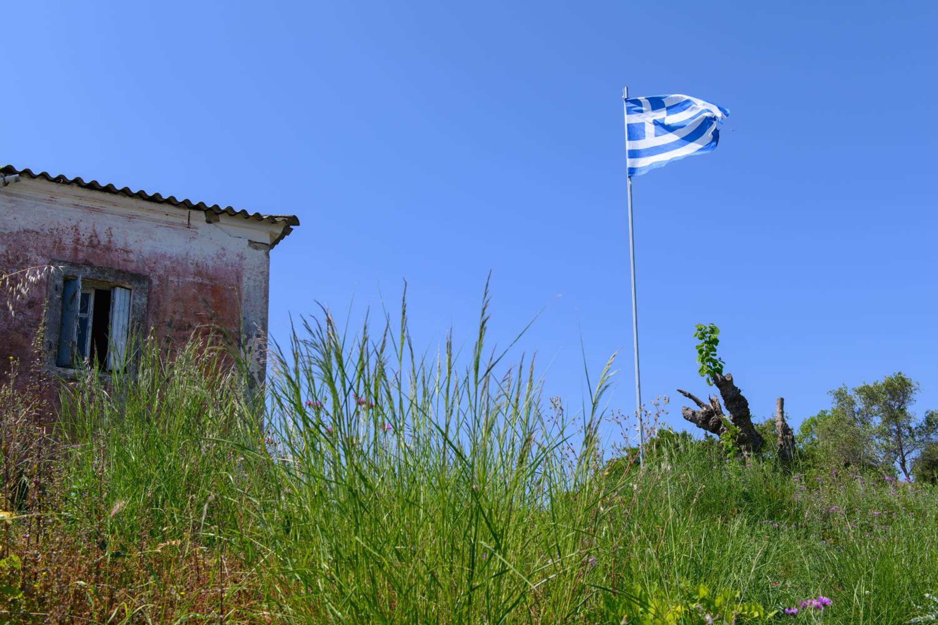 Photo 40