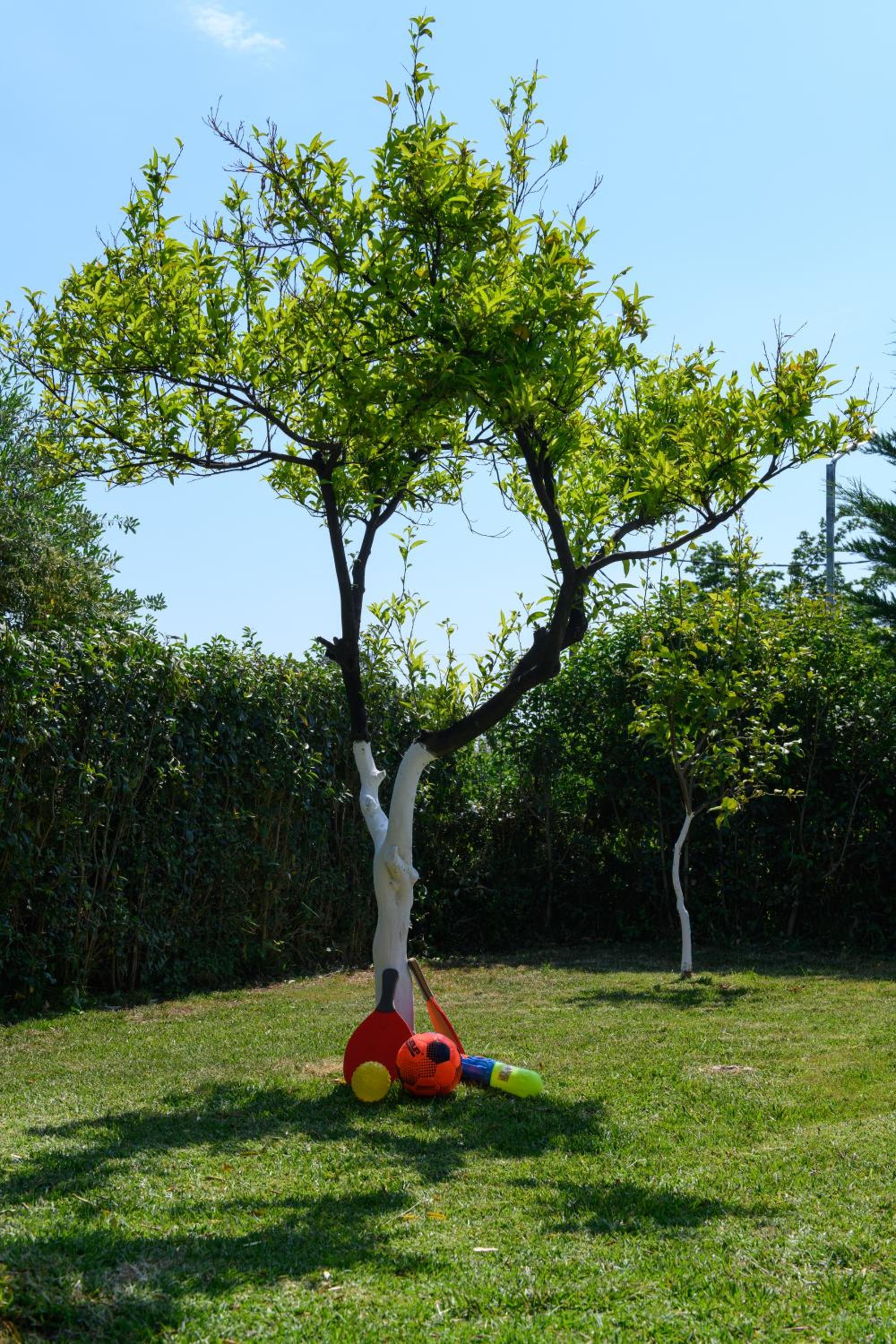 Photo 21