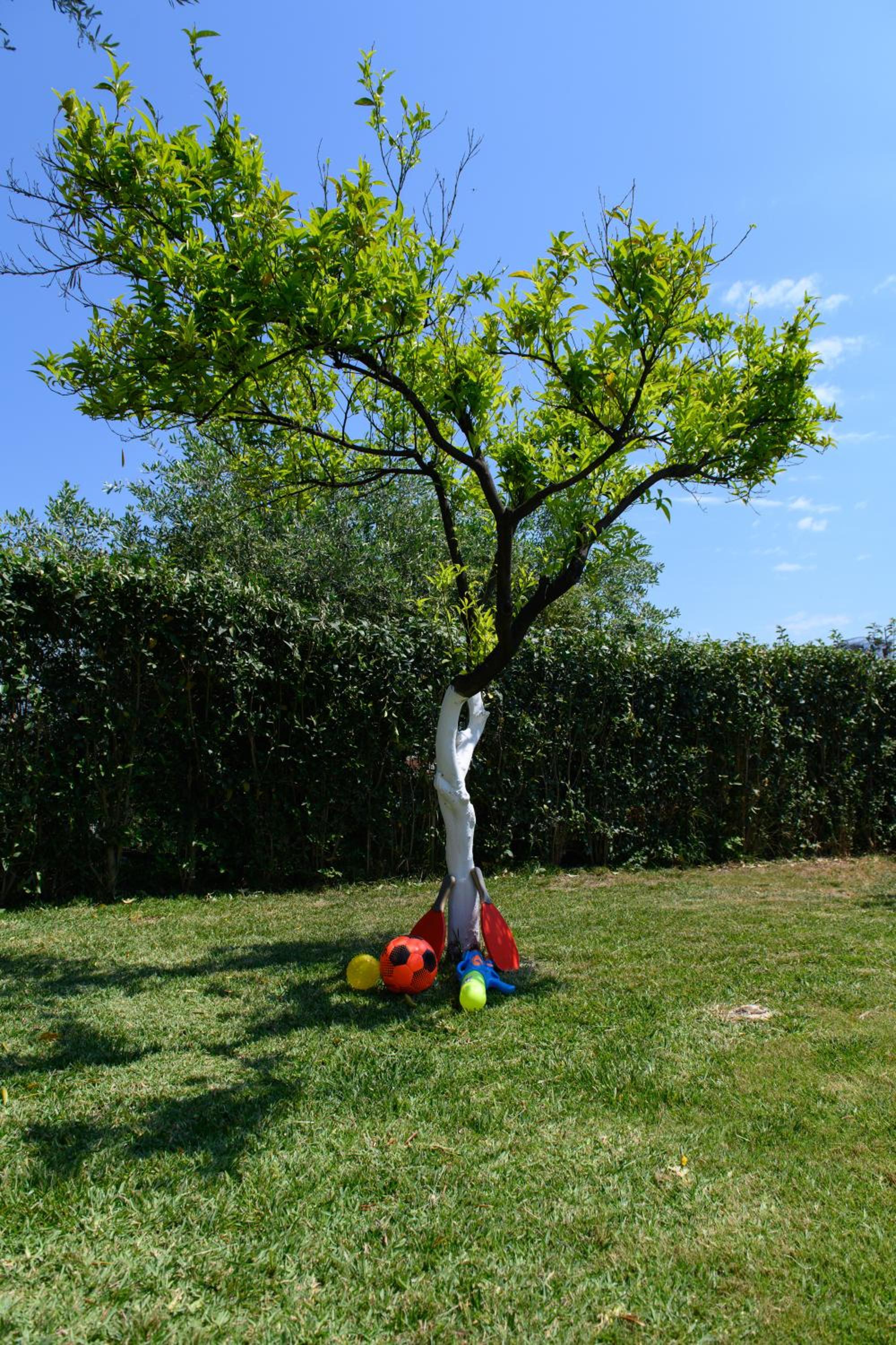 Photo 22