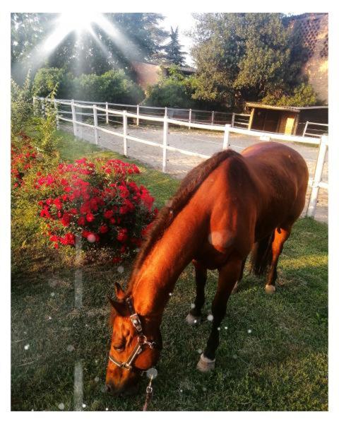 Felix House - Property Image 95