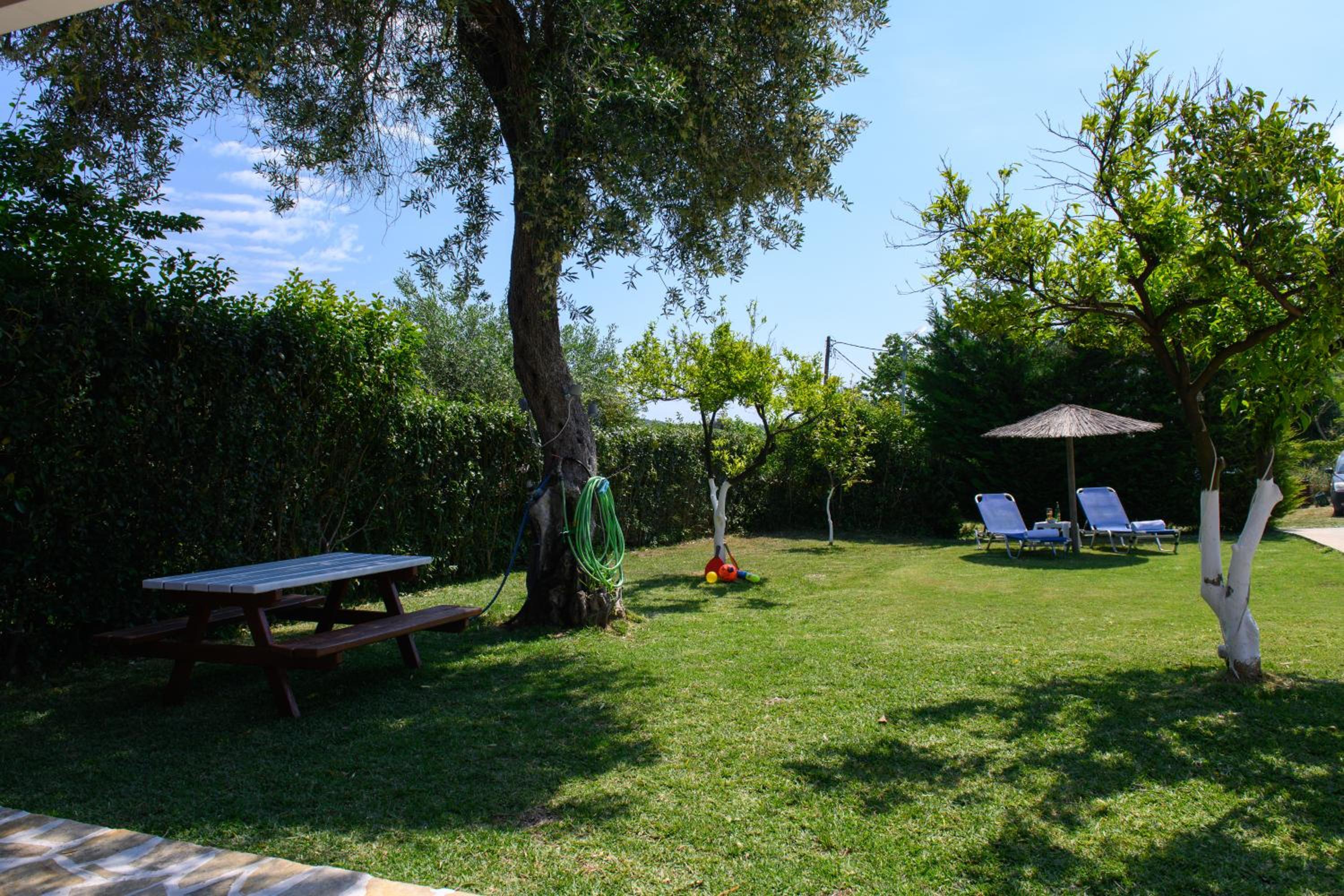 Photo 26