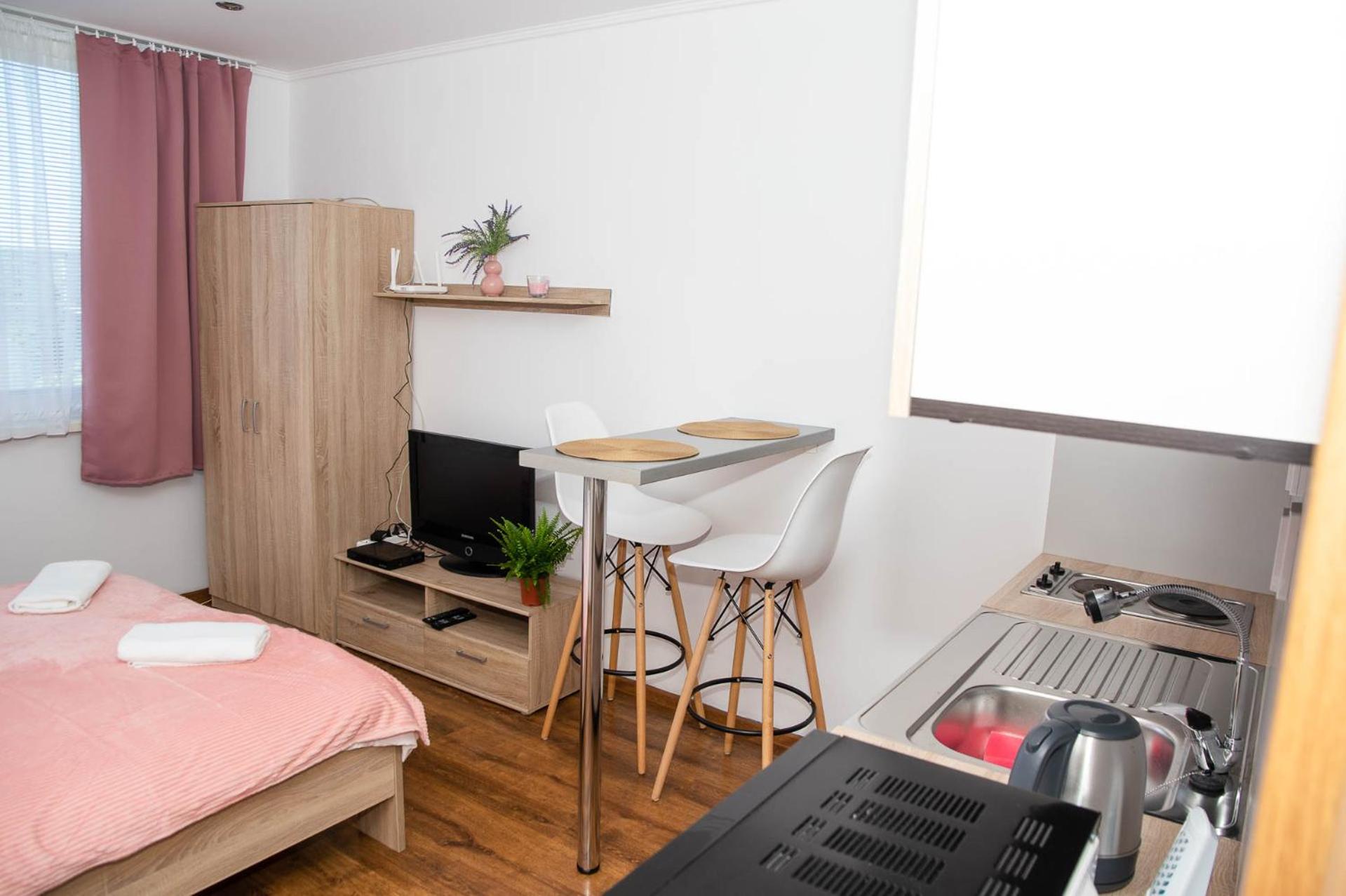 COSY STUDIO IN NOVE ZAMKY view 4