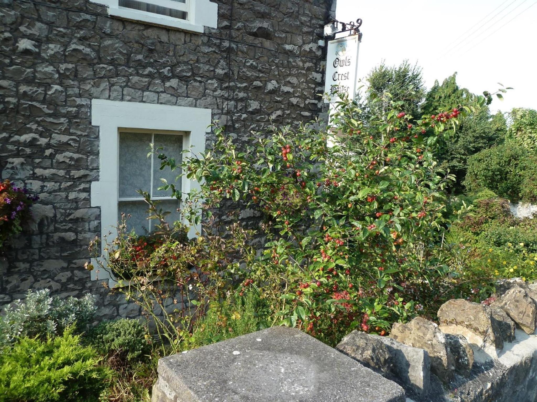 Photo 14