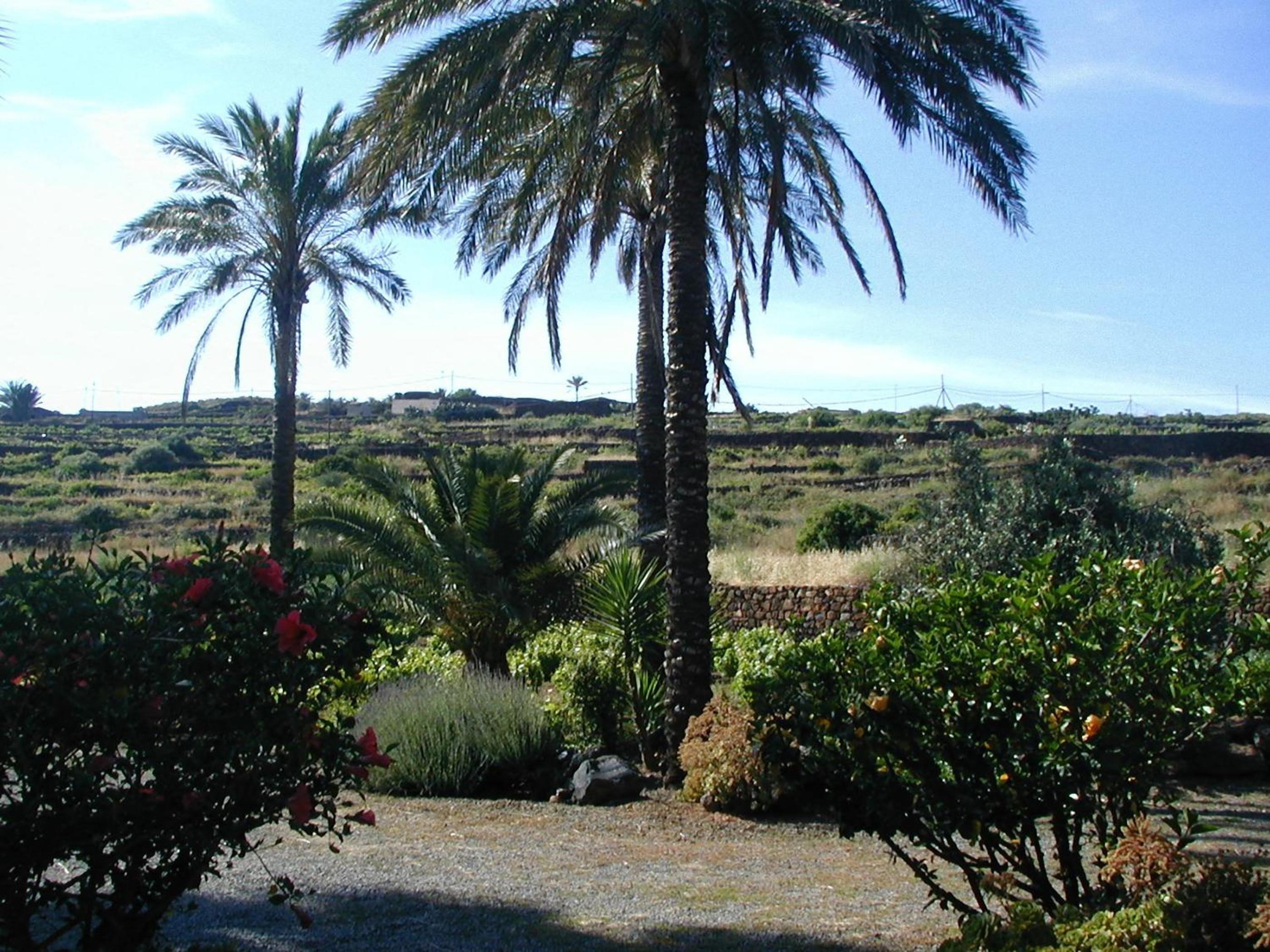 Dammuso Magia con Piscina view 4