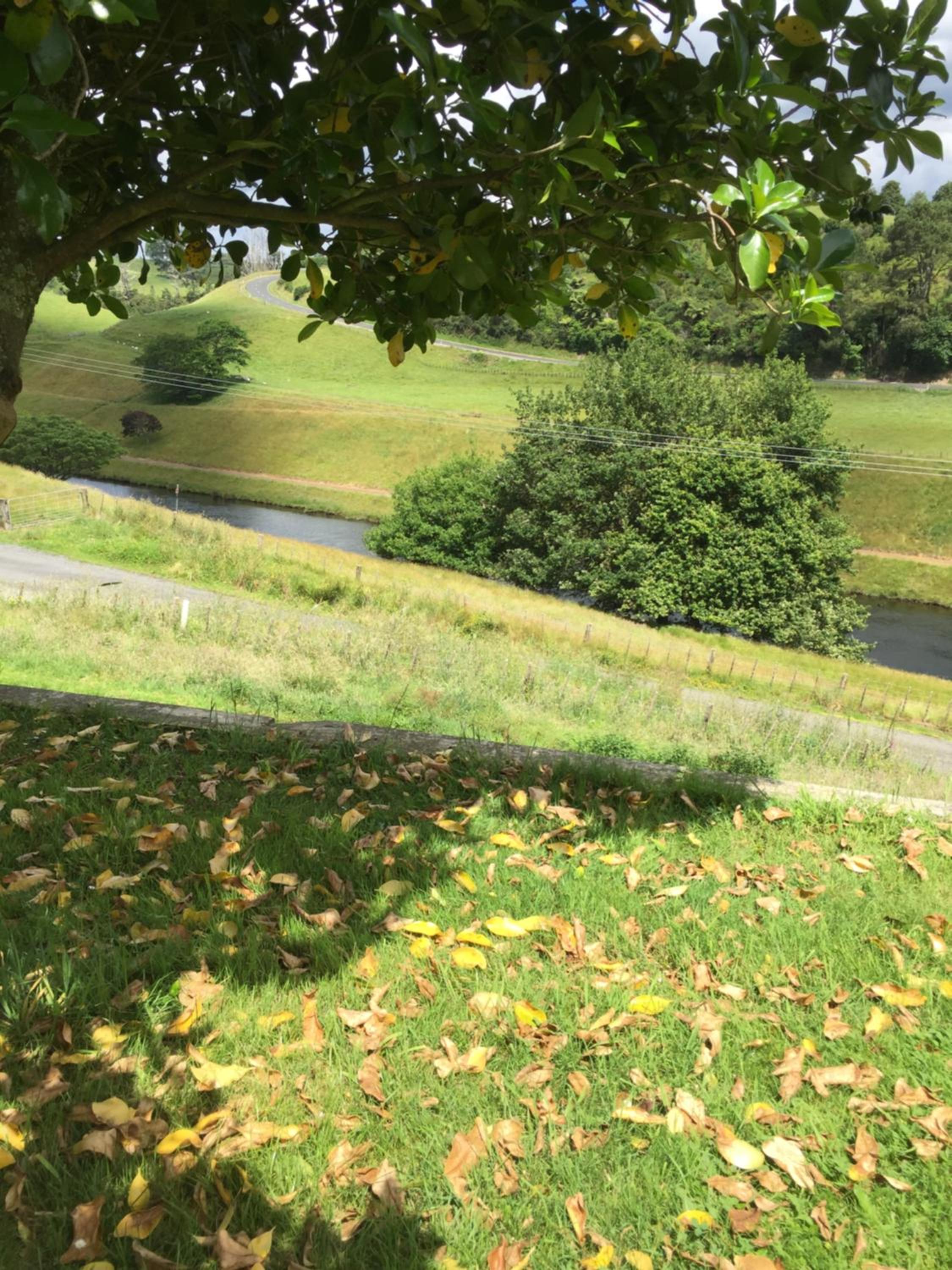 McLaren Lake View view 3
