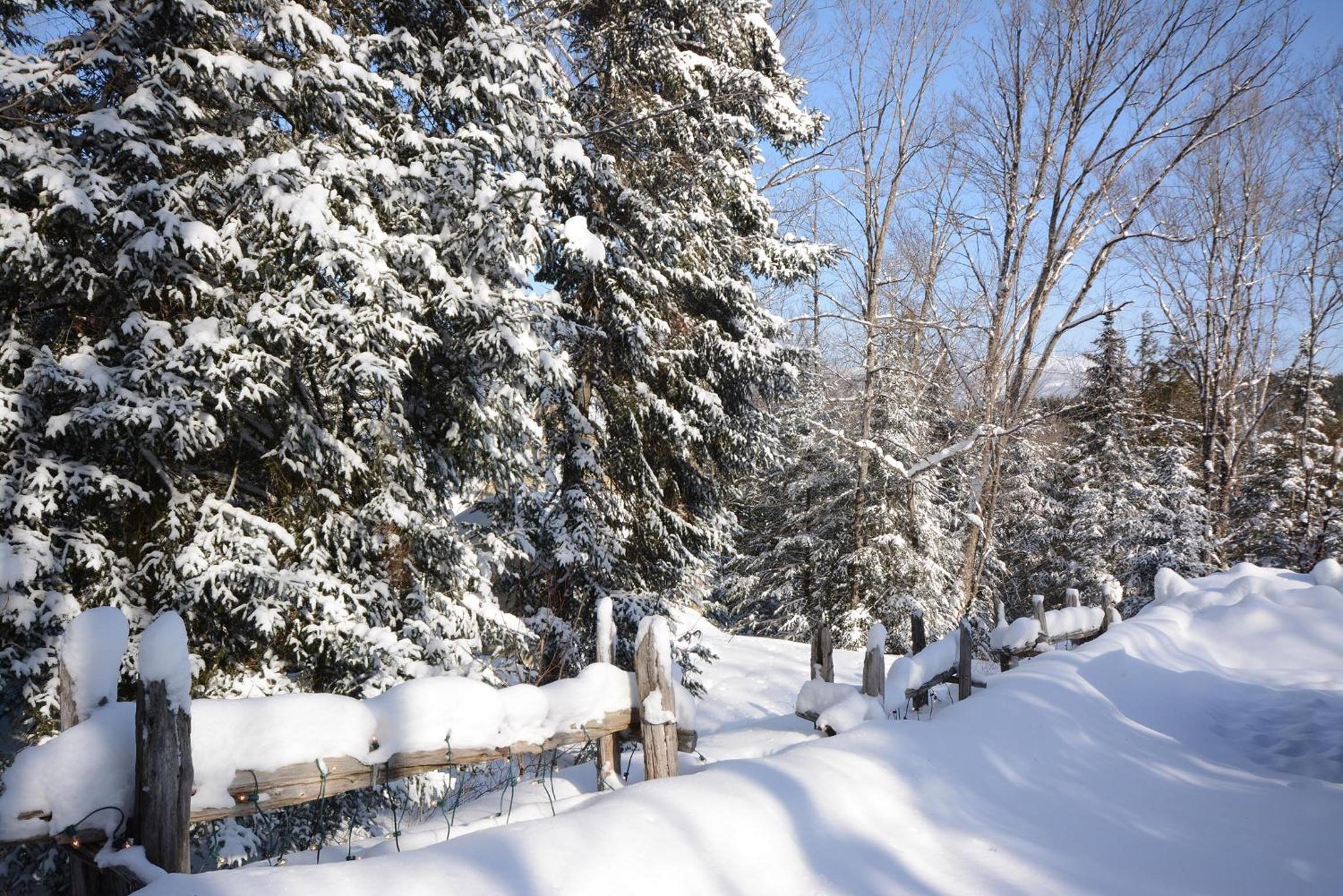 Jardin du Village by Chez Tremblant view 5
