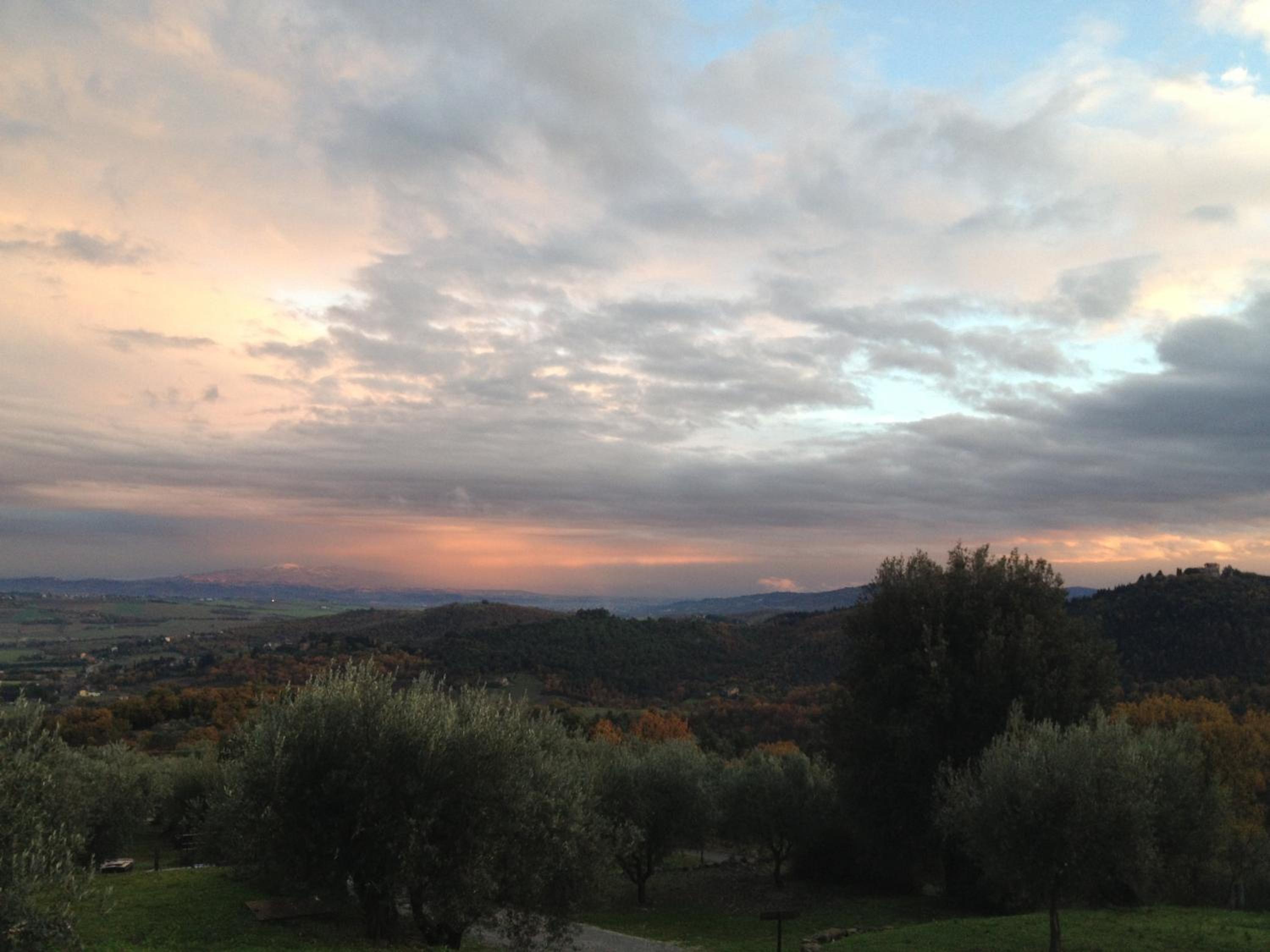Podere Schioppello Casale con appartamenti privati view 5