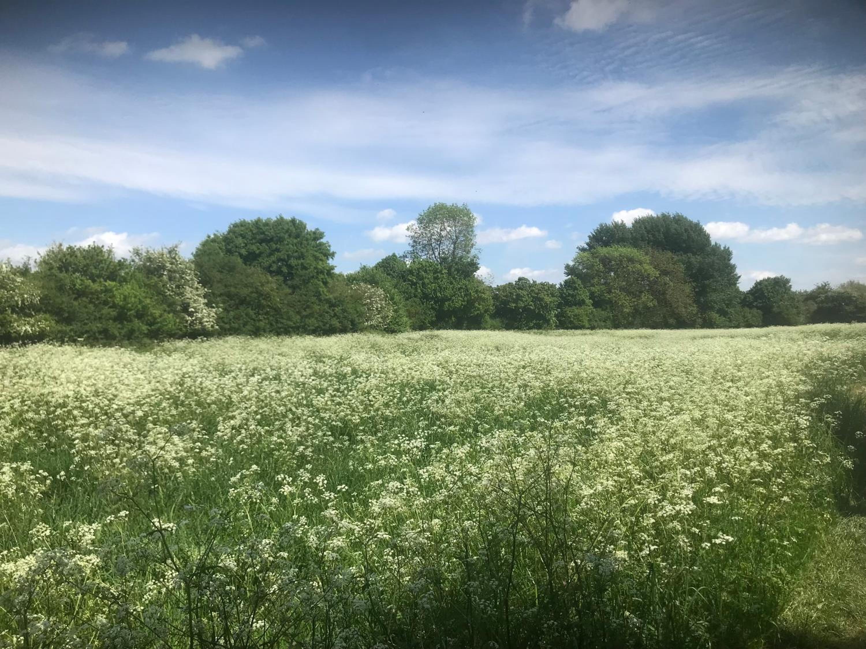 Waldegrave farm