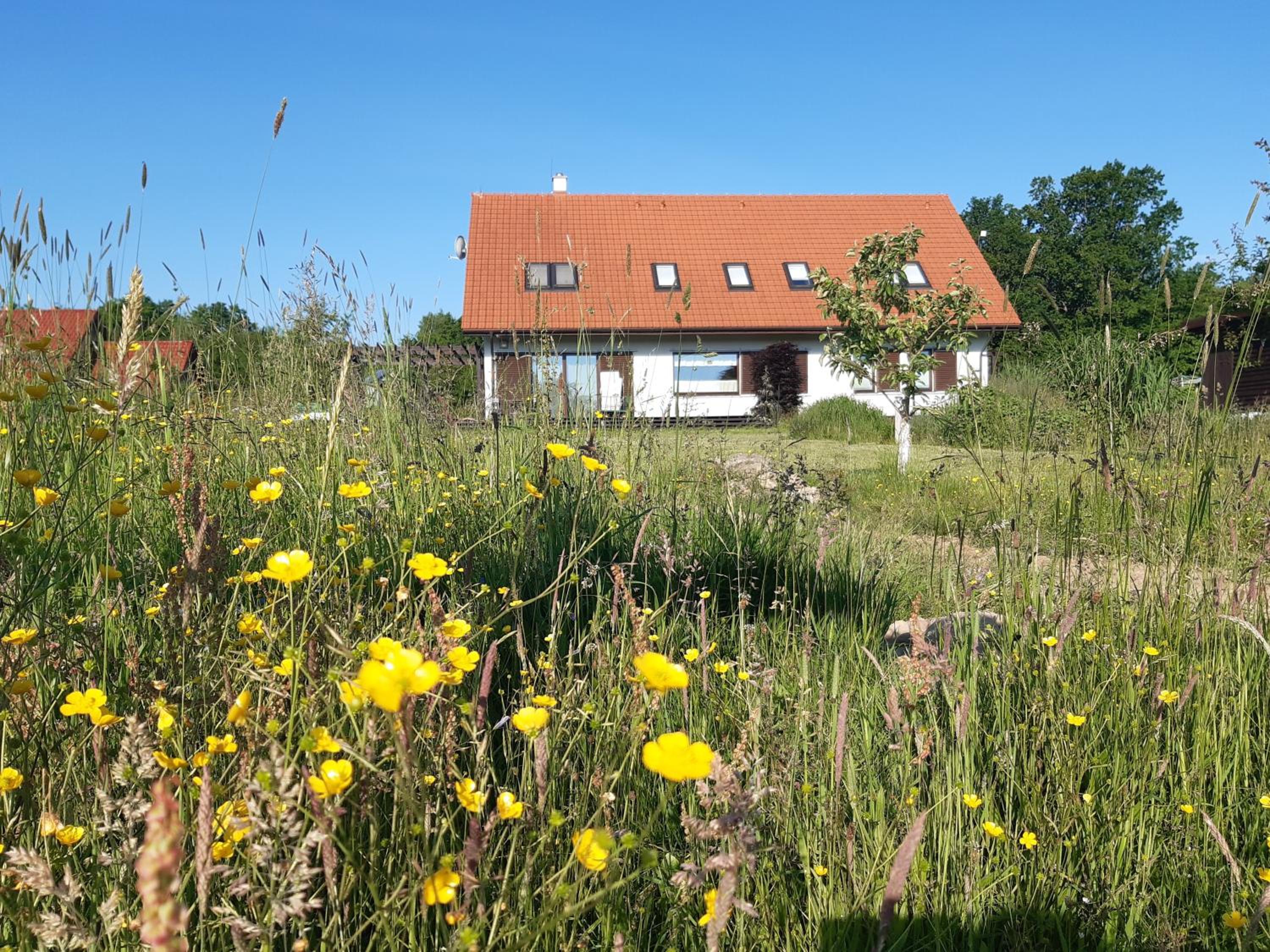 Siedlisko Gregorowo view 4