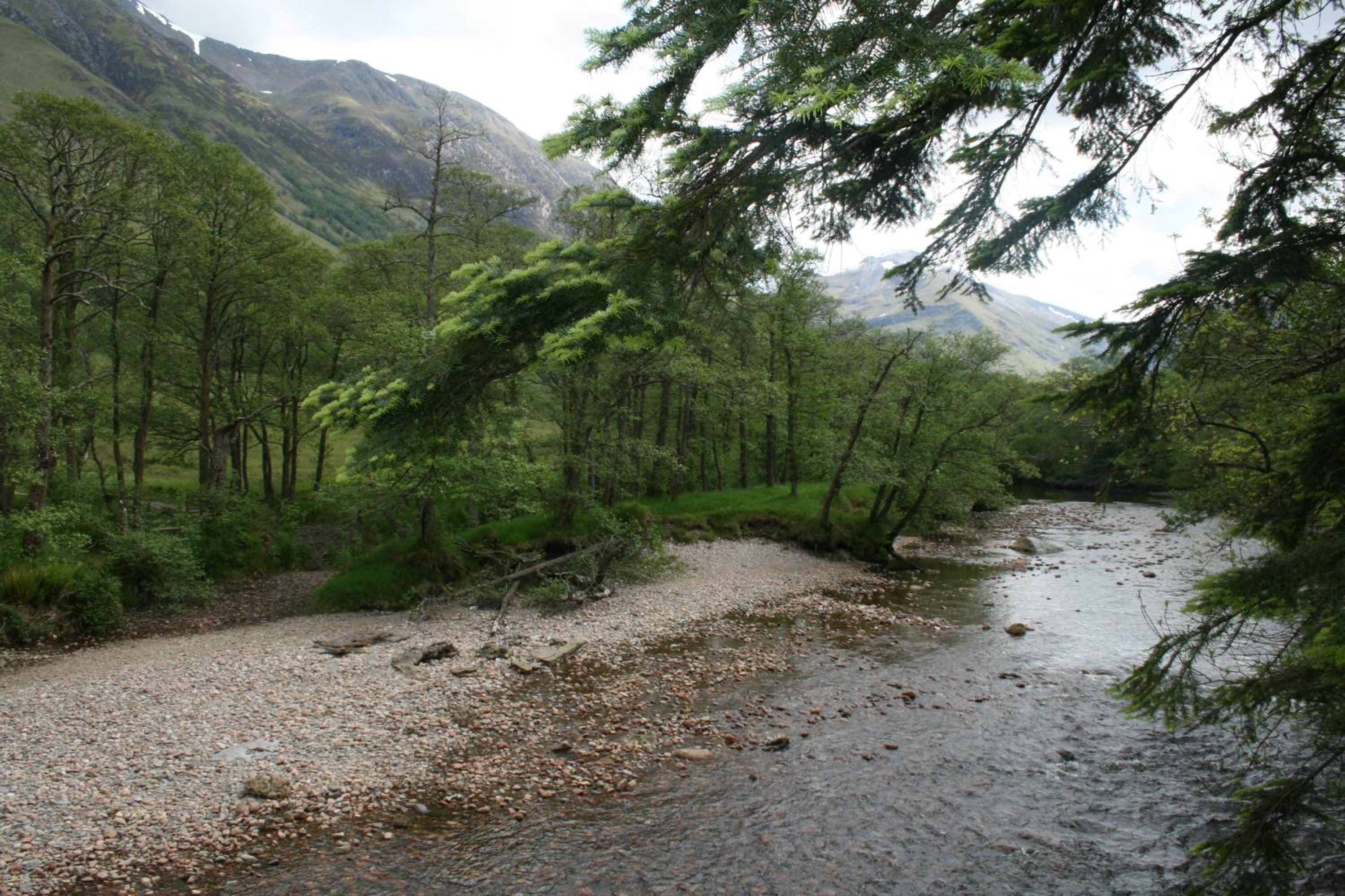 Glen Nevis Youth Hostel