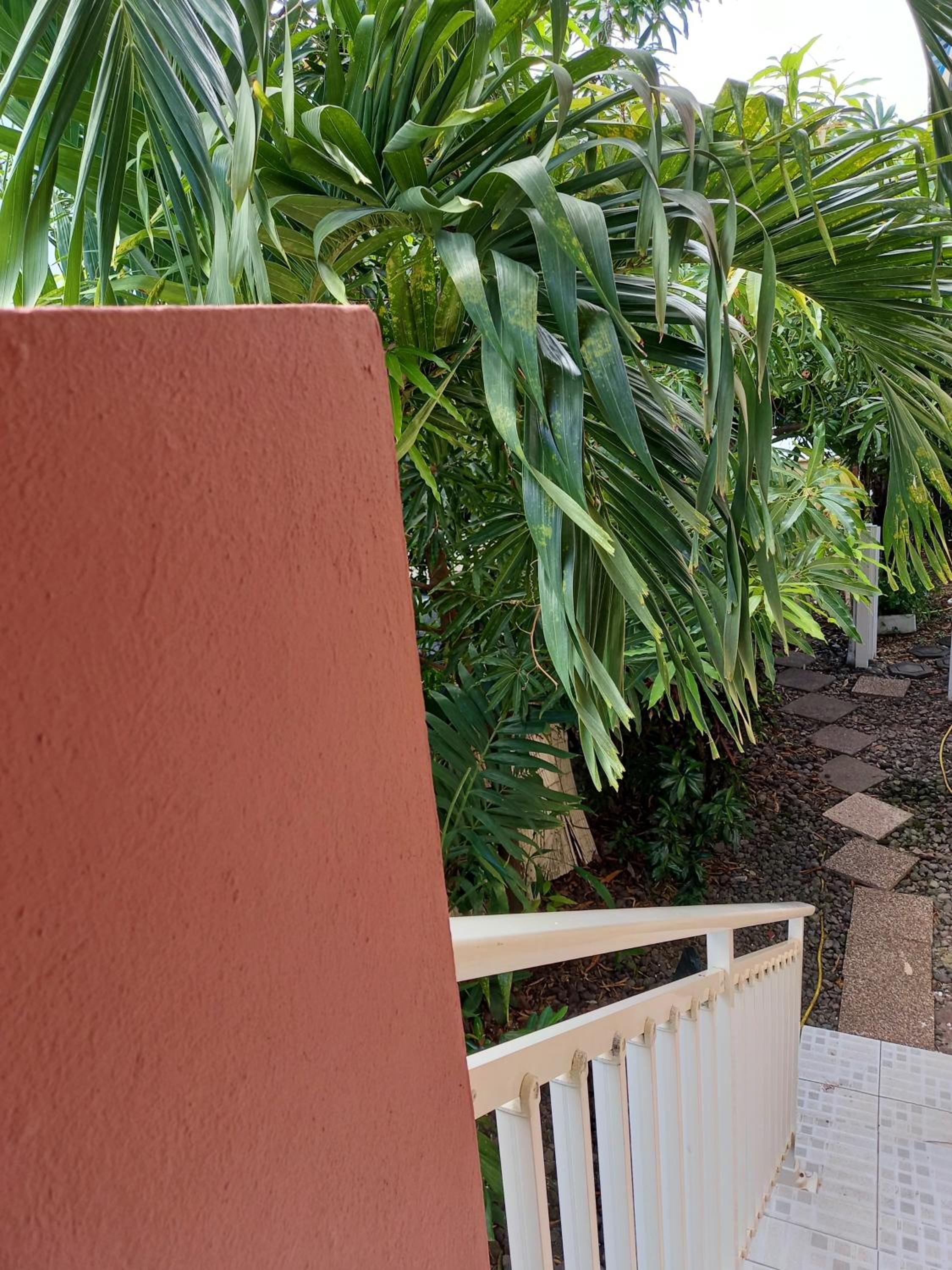 Studio charmant au cœur de Fort-de-France, 22 m², vue sur le jardin view 3