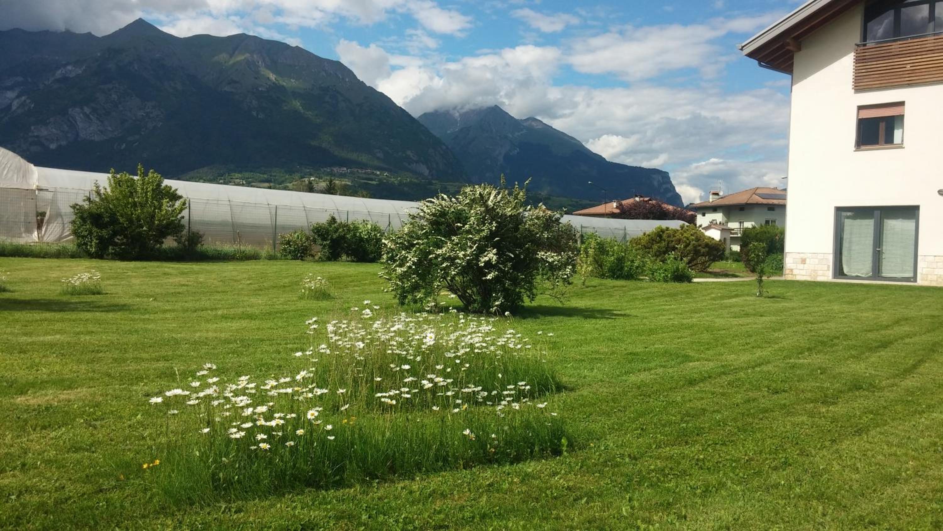 Casa Vacanze Hartriegel view 4