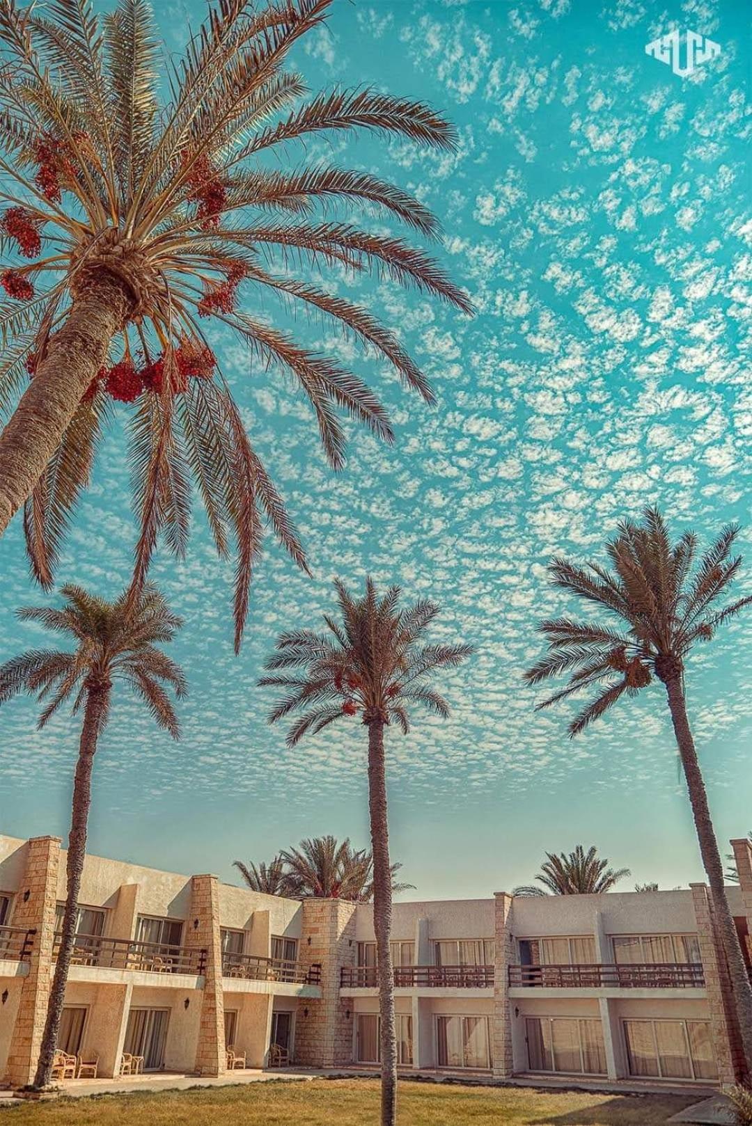 Retac El Arish