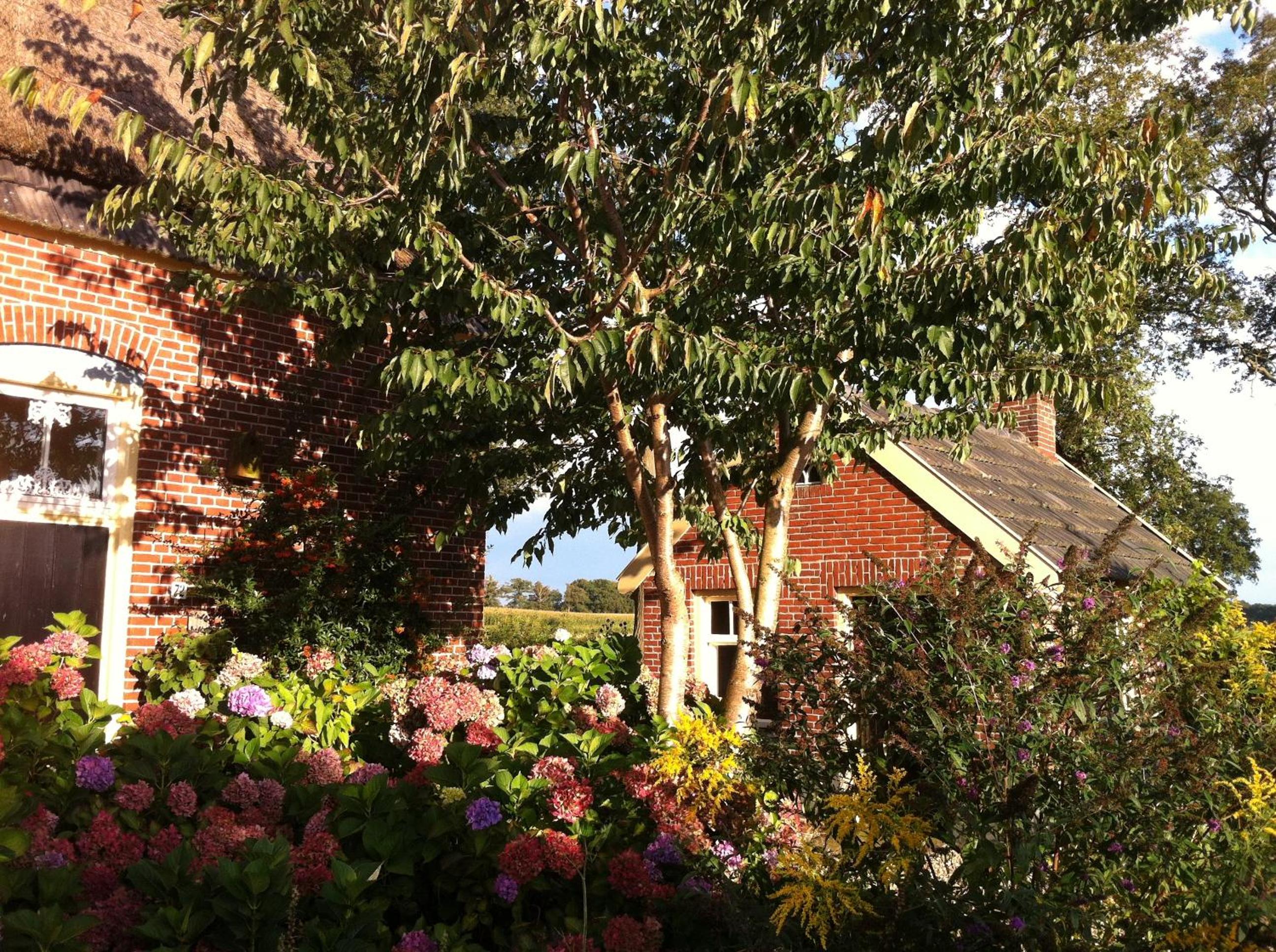 Photo 46