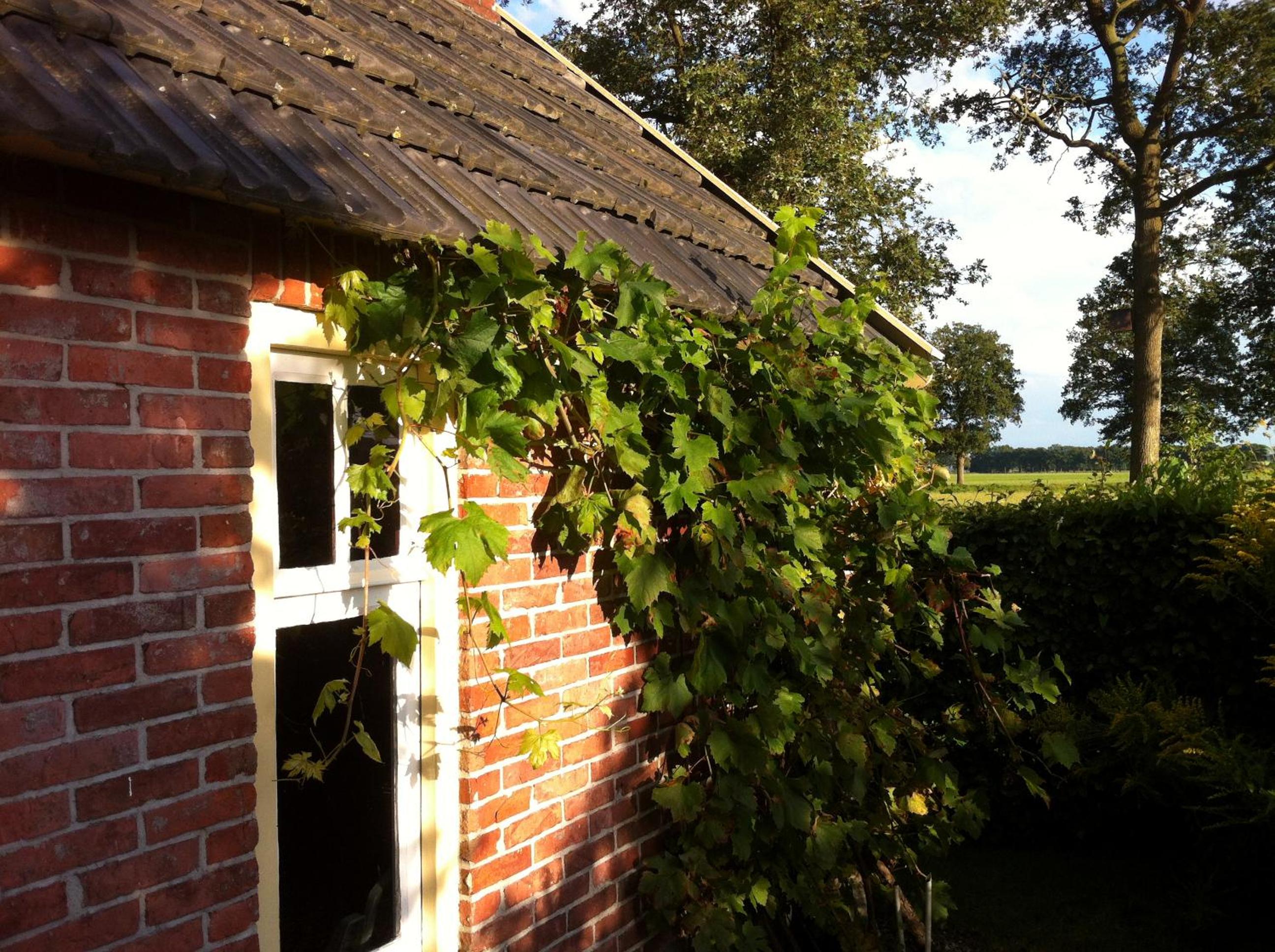 Photo 48