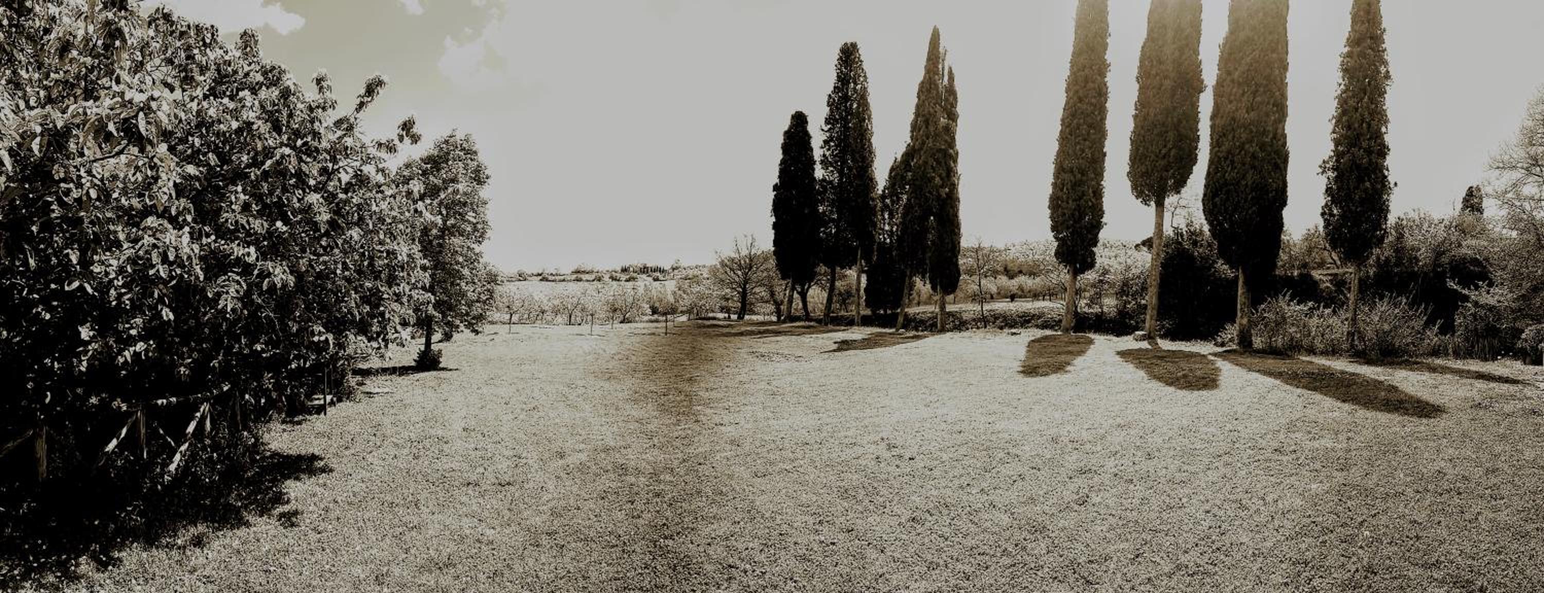 Podere Pievina Delle Corti - Dimora di Campagna