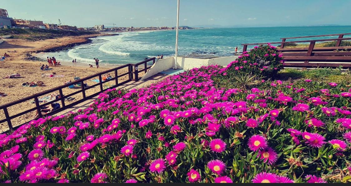 La Mata, Torrevieja view 5
