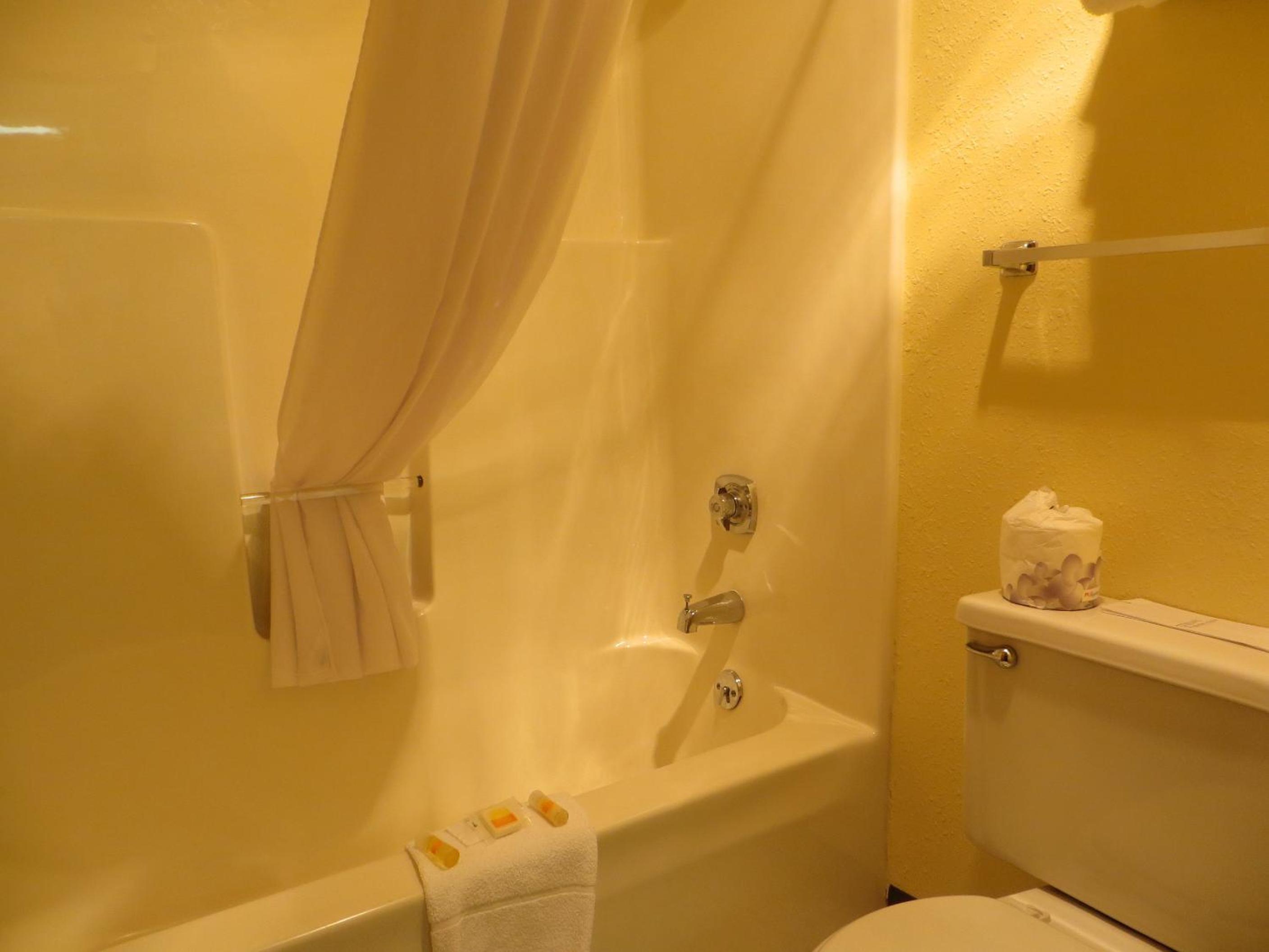 Photo 41