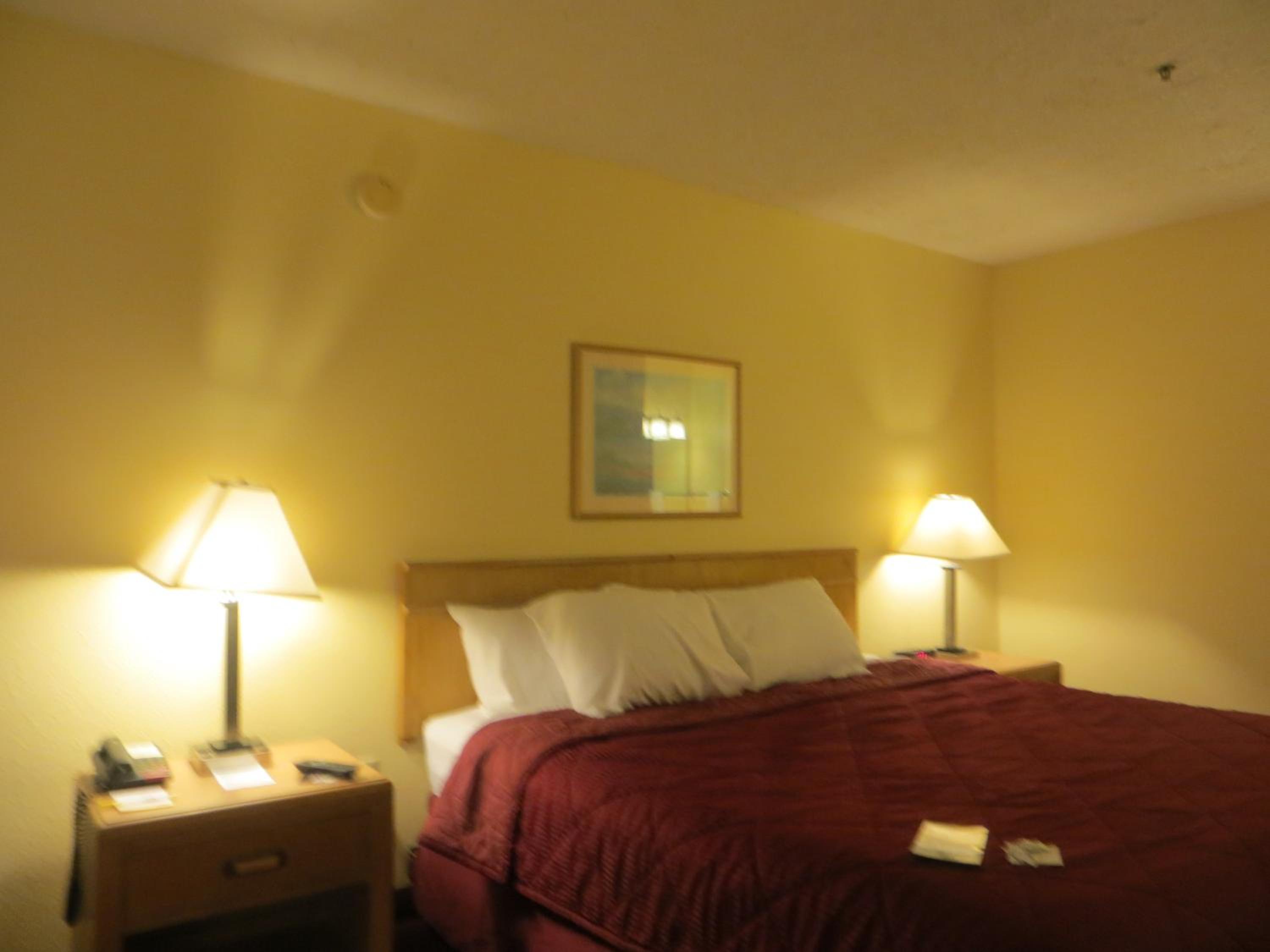 Photo 47
