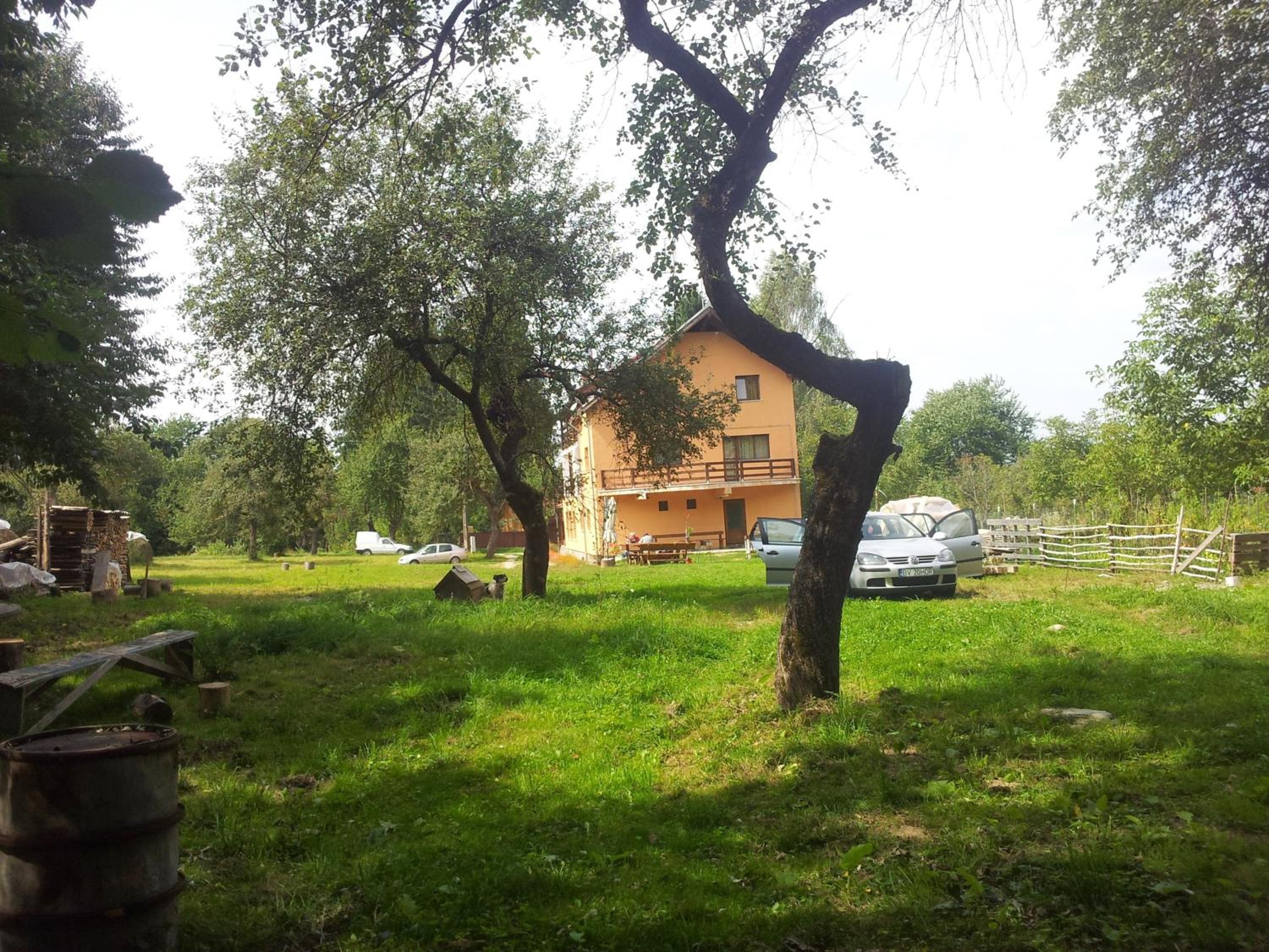 Photo 38