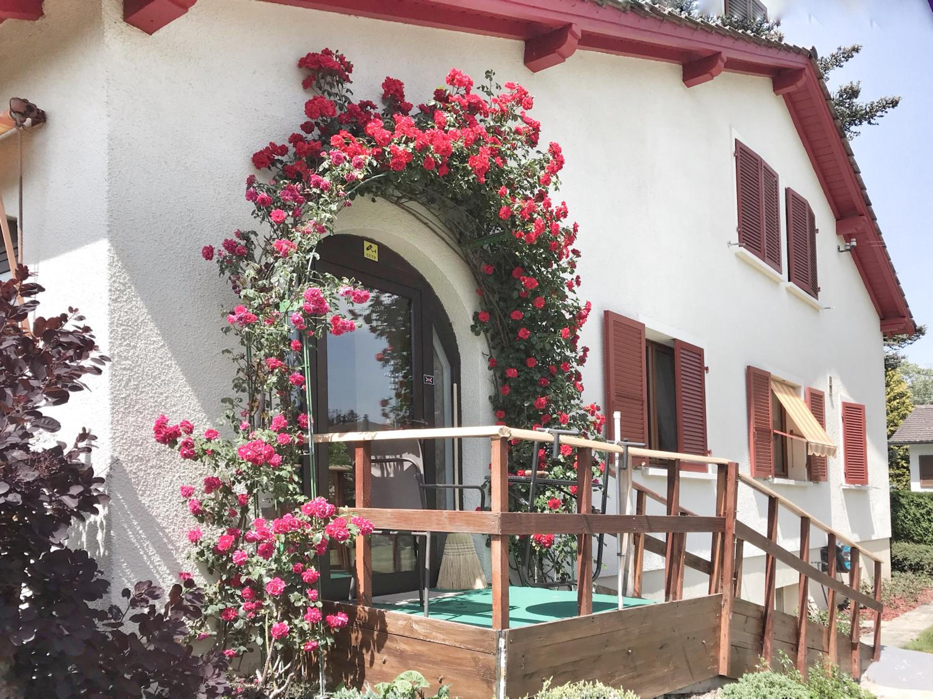 Lindo Lugar - just a 7 minute walk from the airport