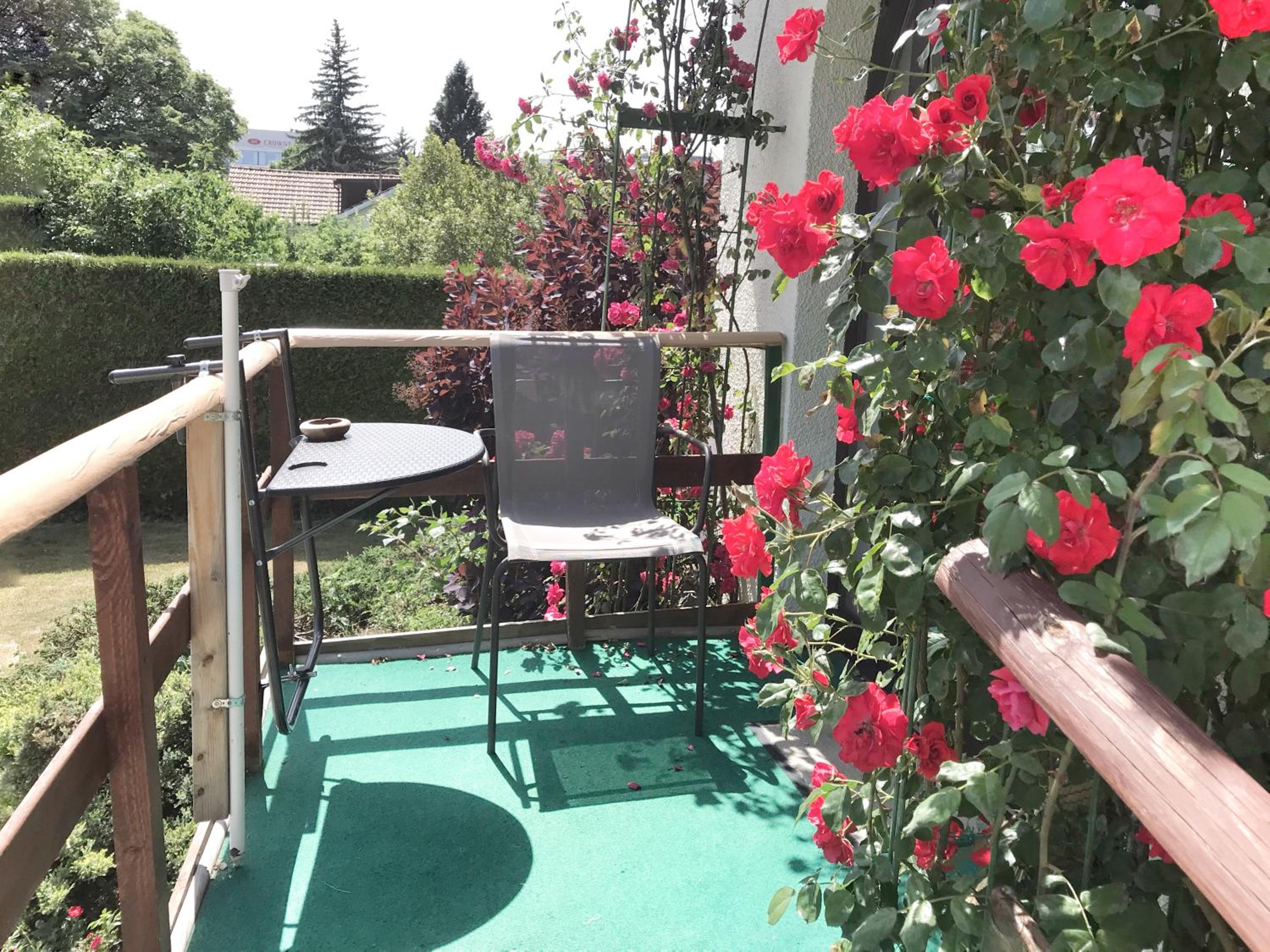 Lindo Lugar - just a 7 minute walk from the airport