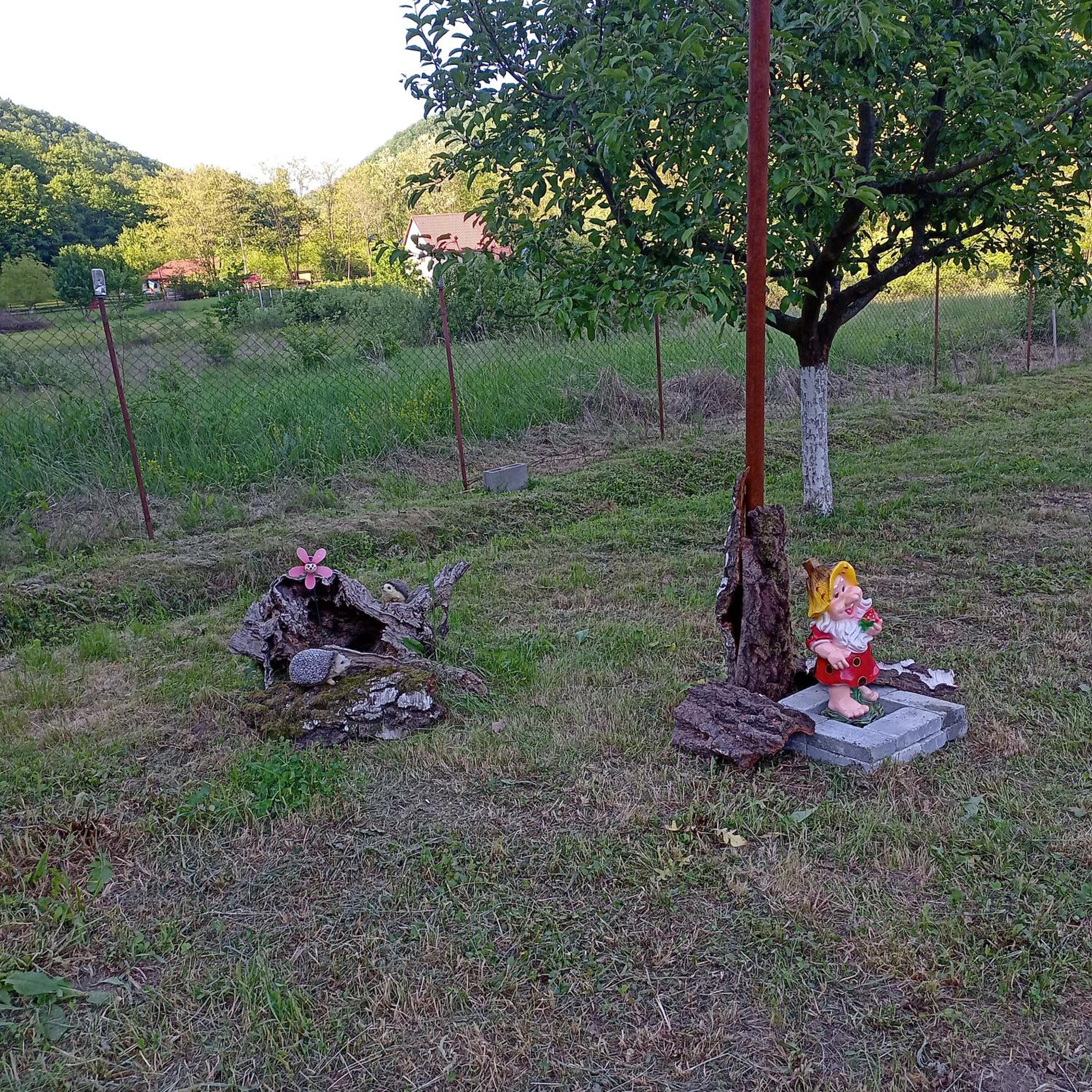 Photo 11