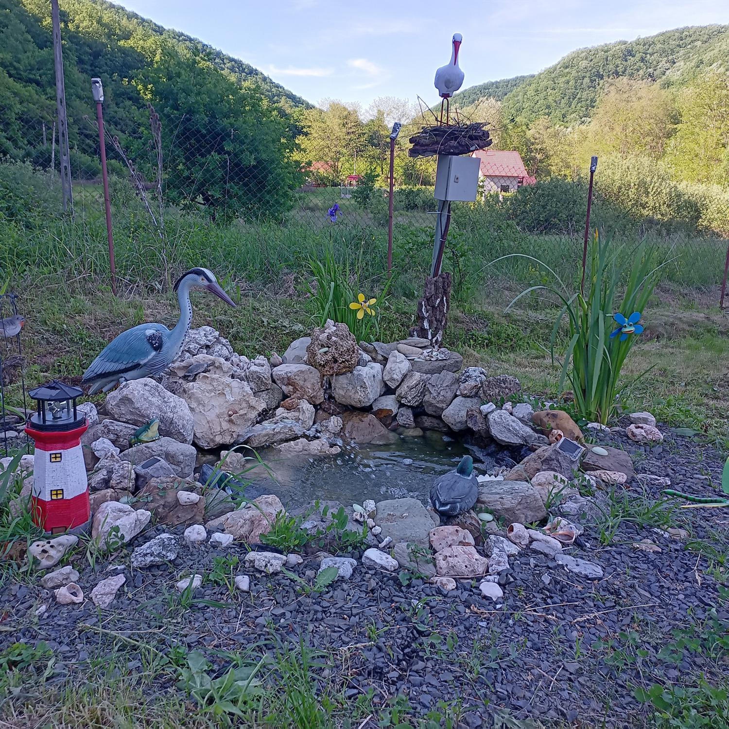 Photo 12