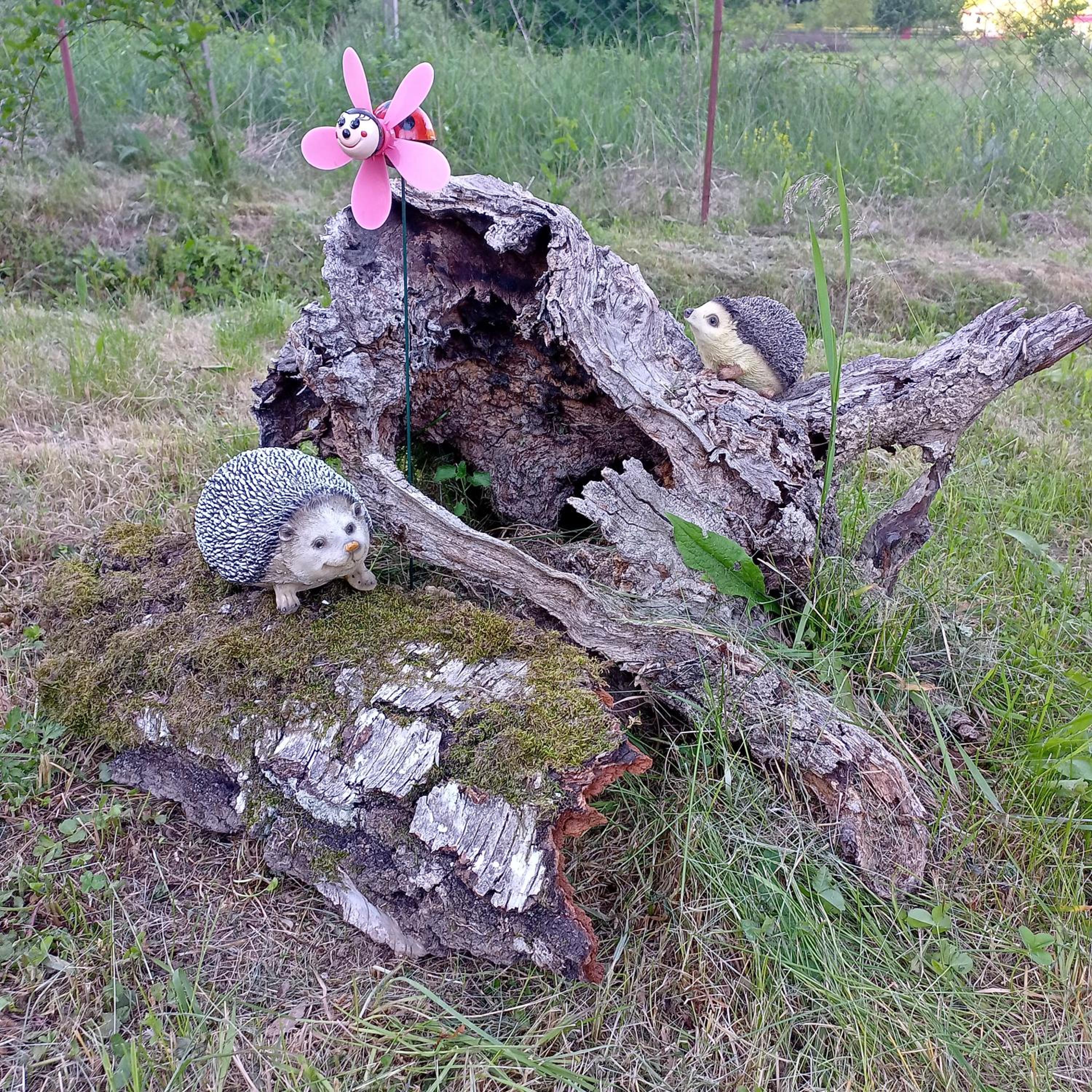 Photo 14