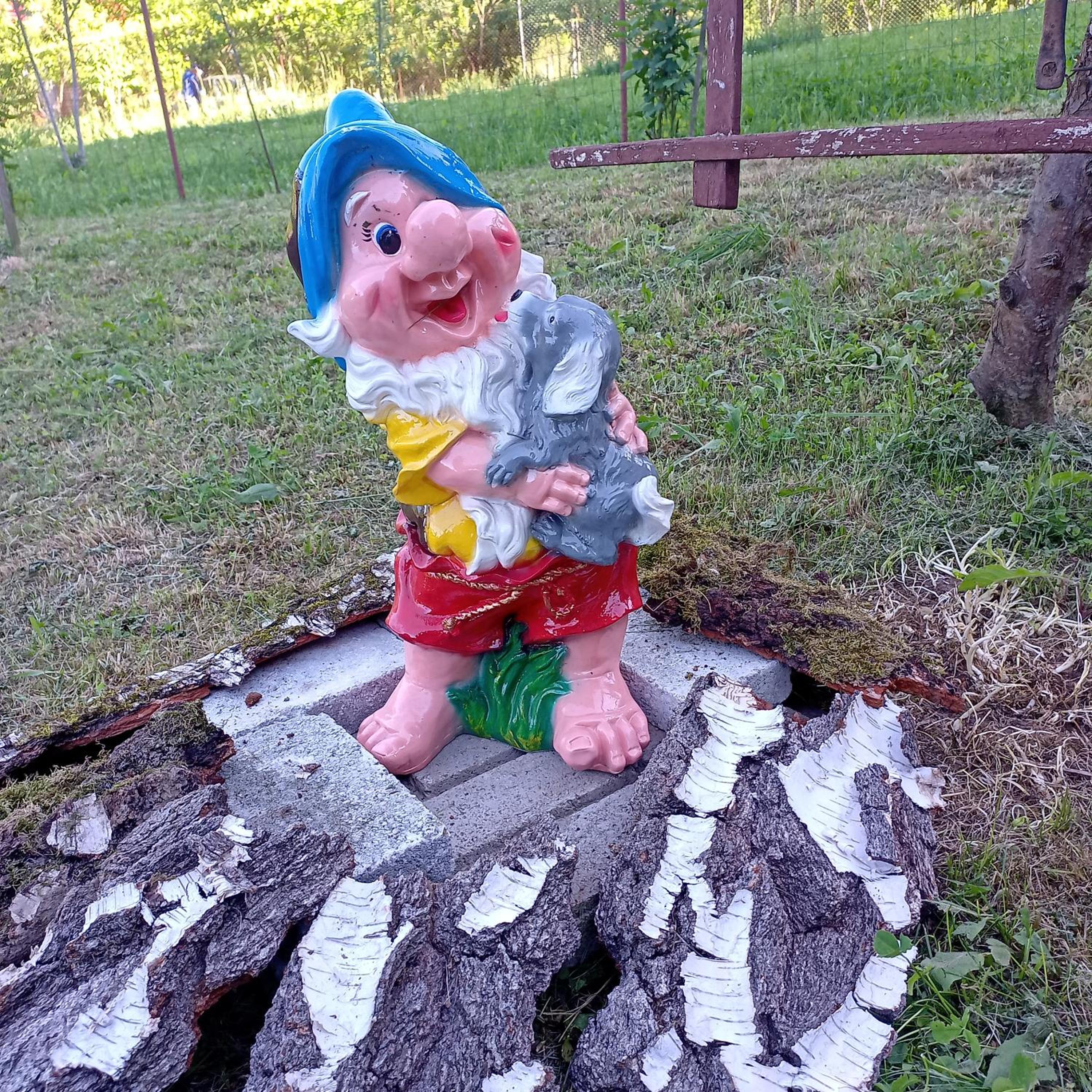 Photo 10