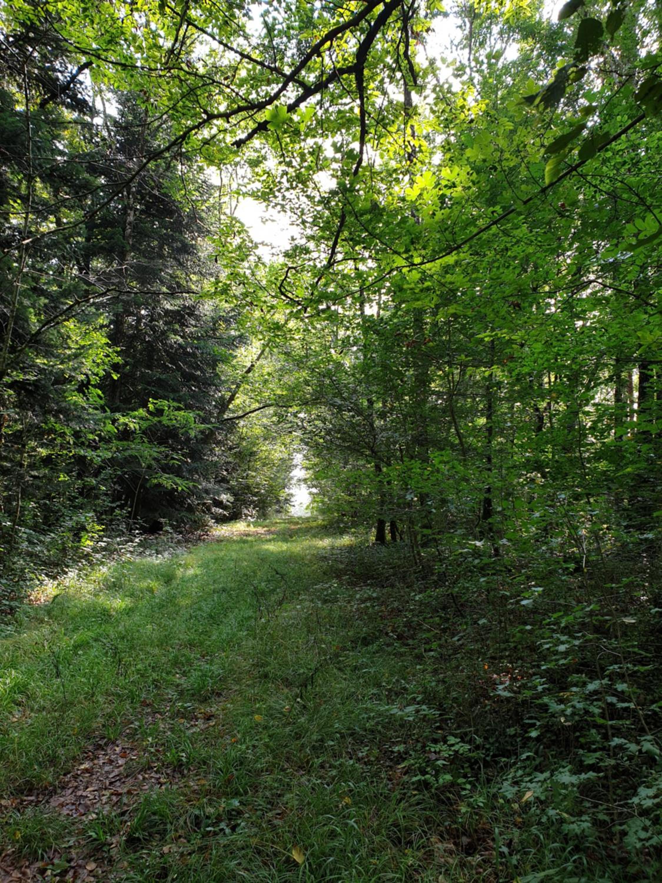 Photo 20