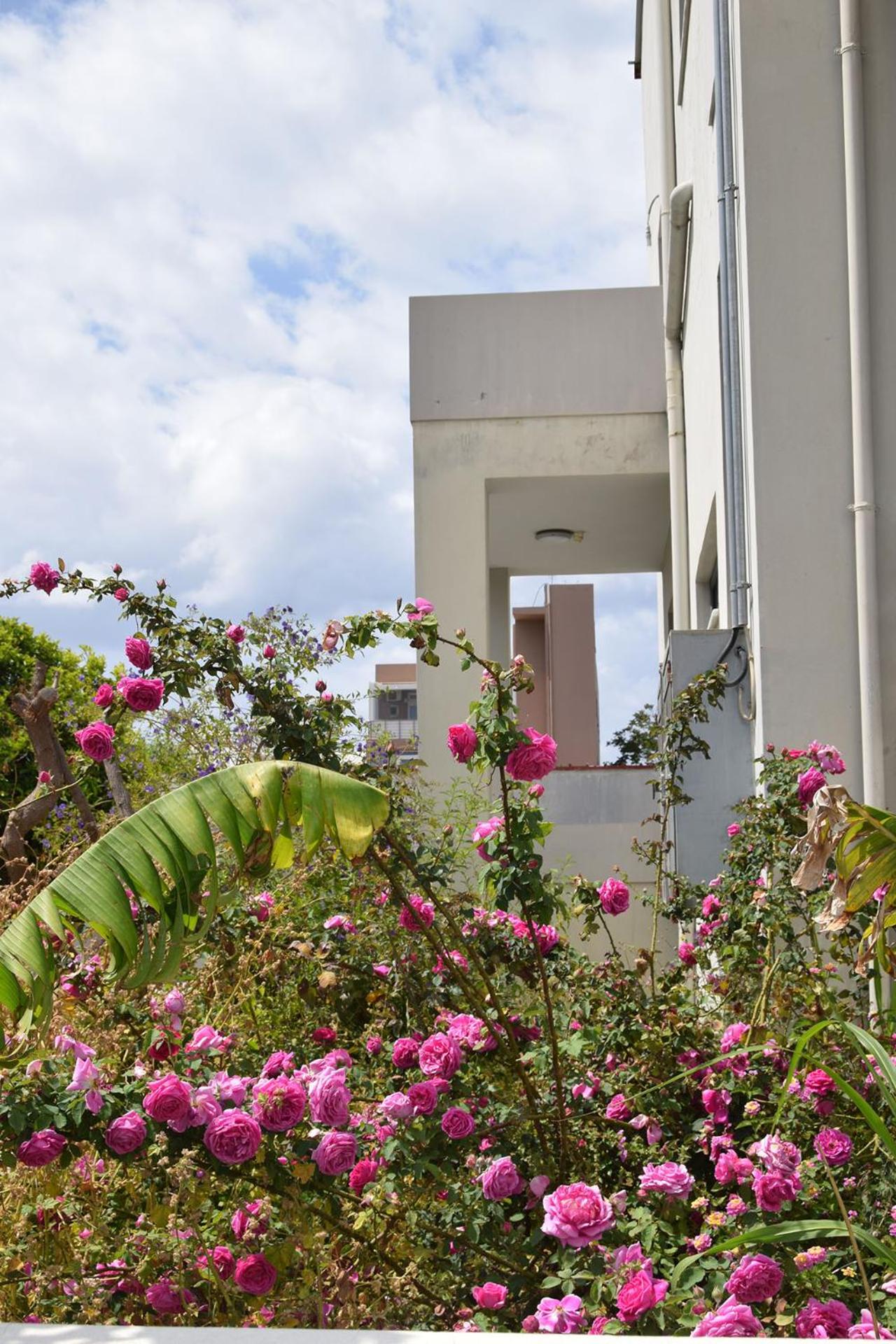 Hotel Fotini S Apartment Near The City Center.